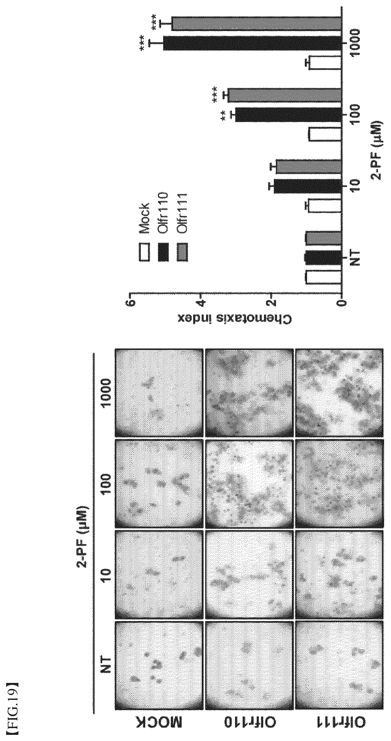 Patent US12396977 Figure 19 – Composition for treating degenerative brain diseases, containing 2-pentylfuran as active ingredient