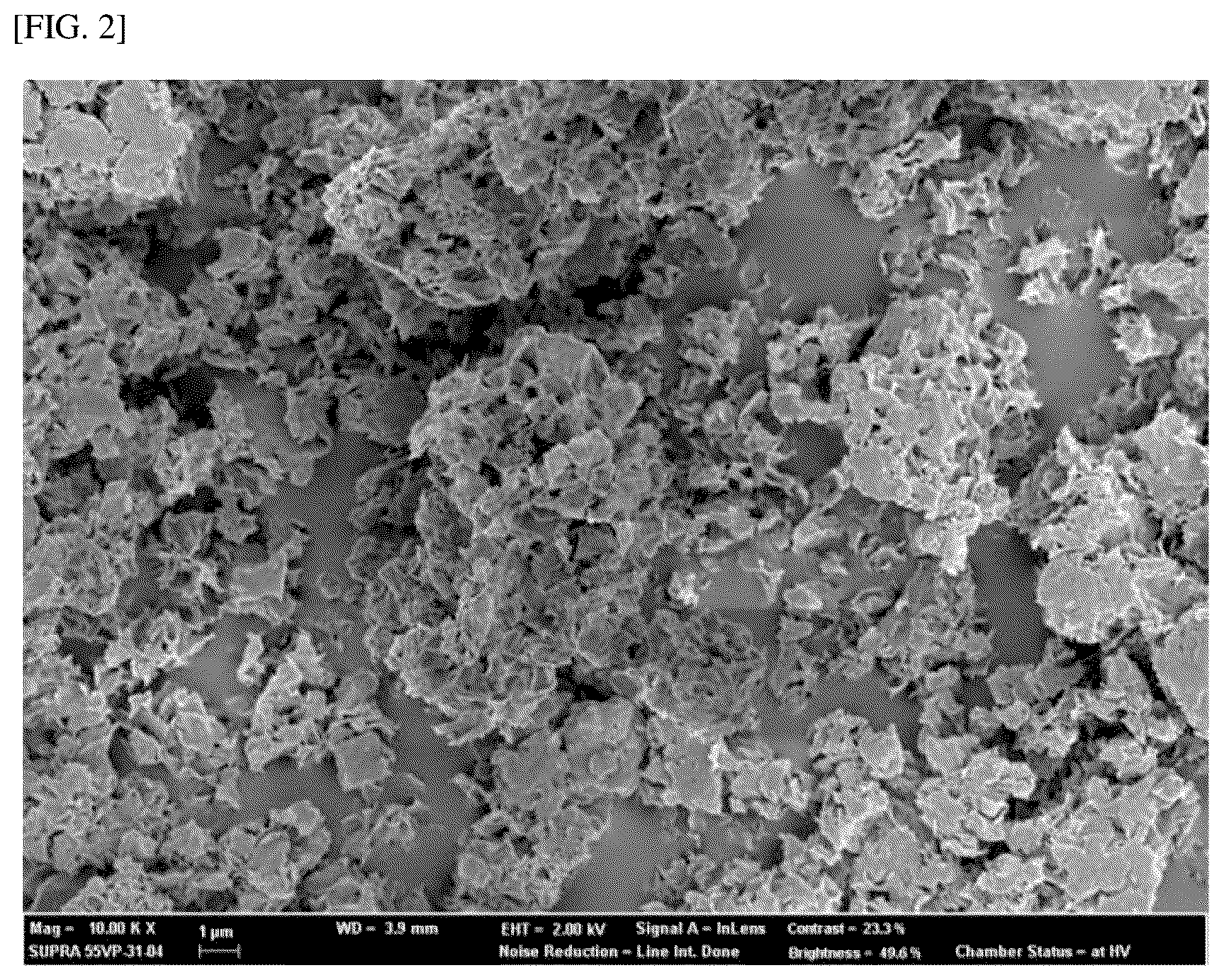 Patent US12396985 Figure 2 – Composition for oral administration with controlled release properties comprising complex of clay minerals, method for preparing same, and method for controlling release properties