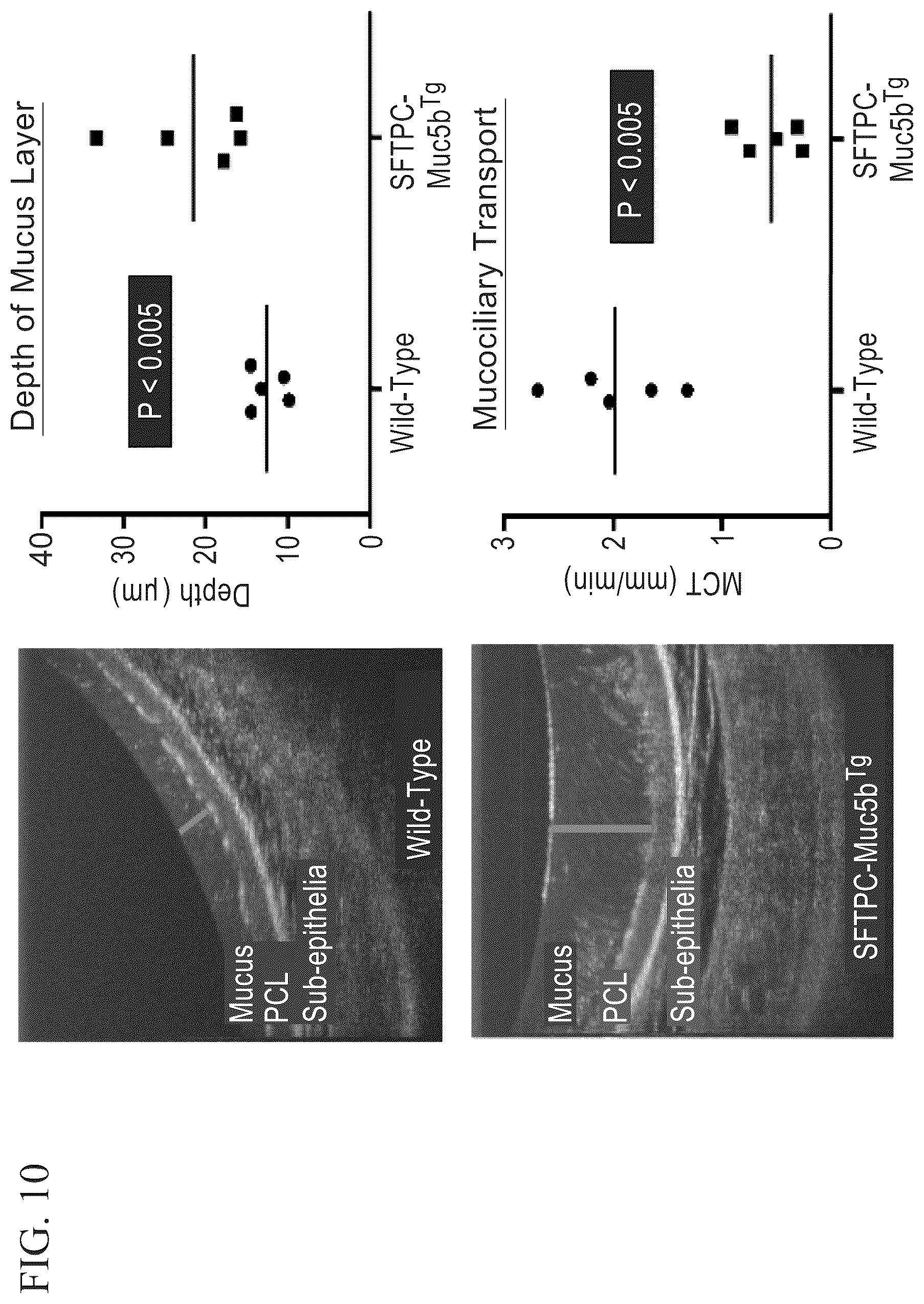 Patent US12396991 Figure 10 – Biomarkers for the diagnosis and treatment of fibrotic lung disease