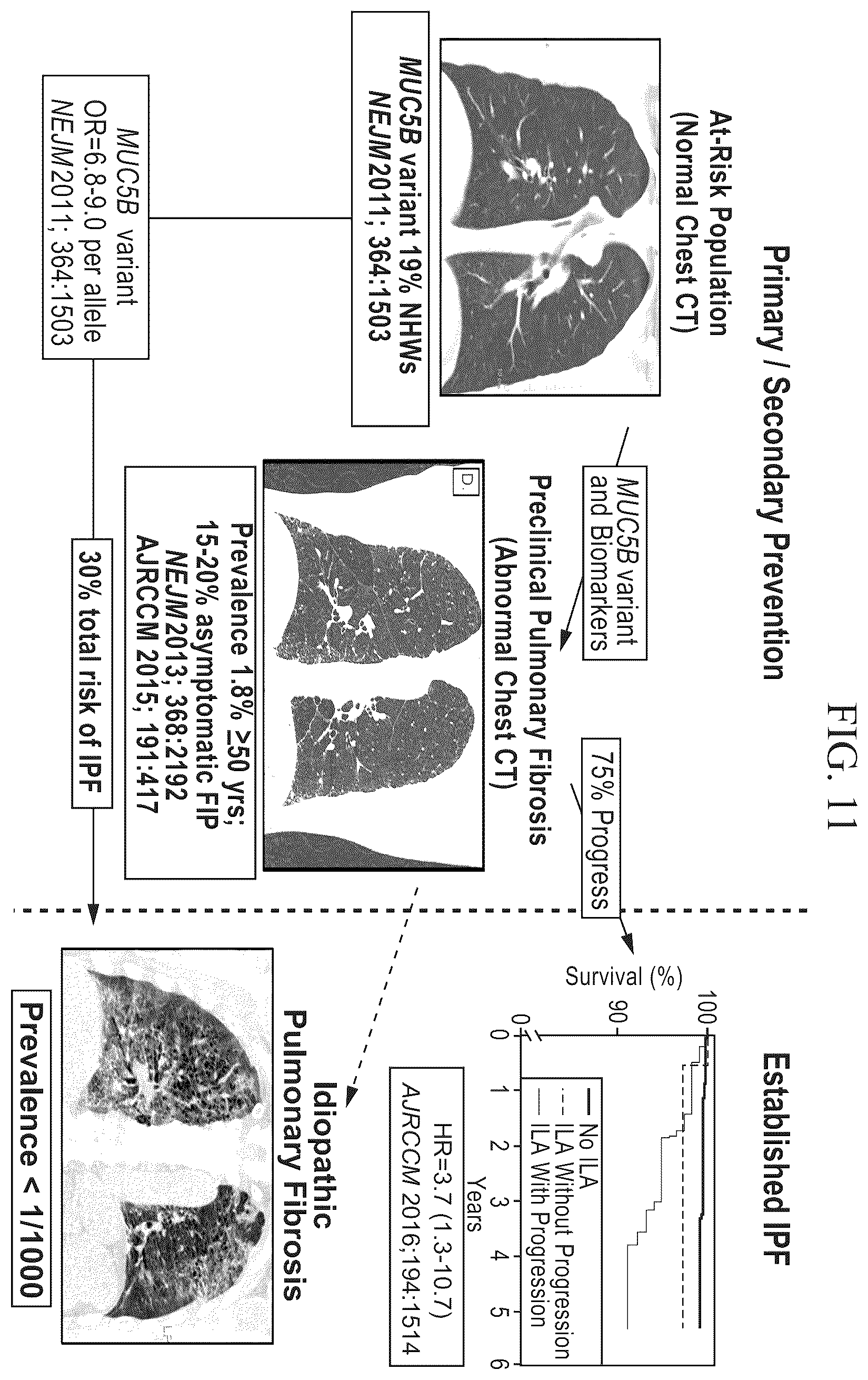 Patent US12396991 Figure 11 – Biomarkers for the diagnosis and treatment of fibrotic lung disease