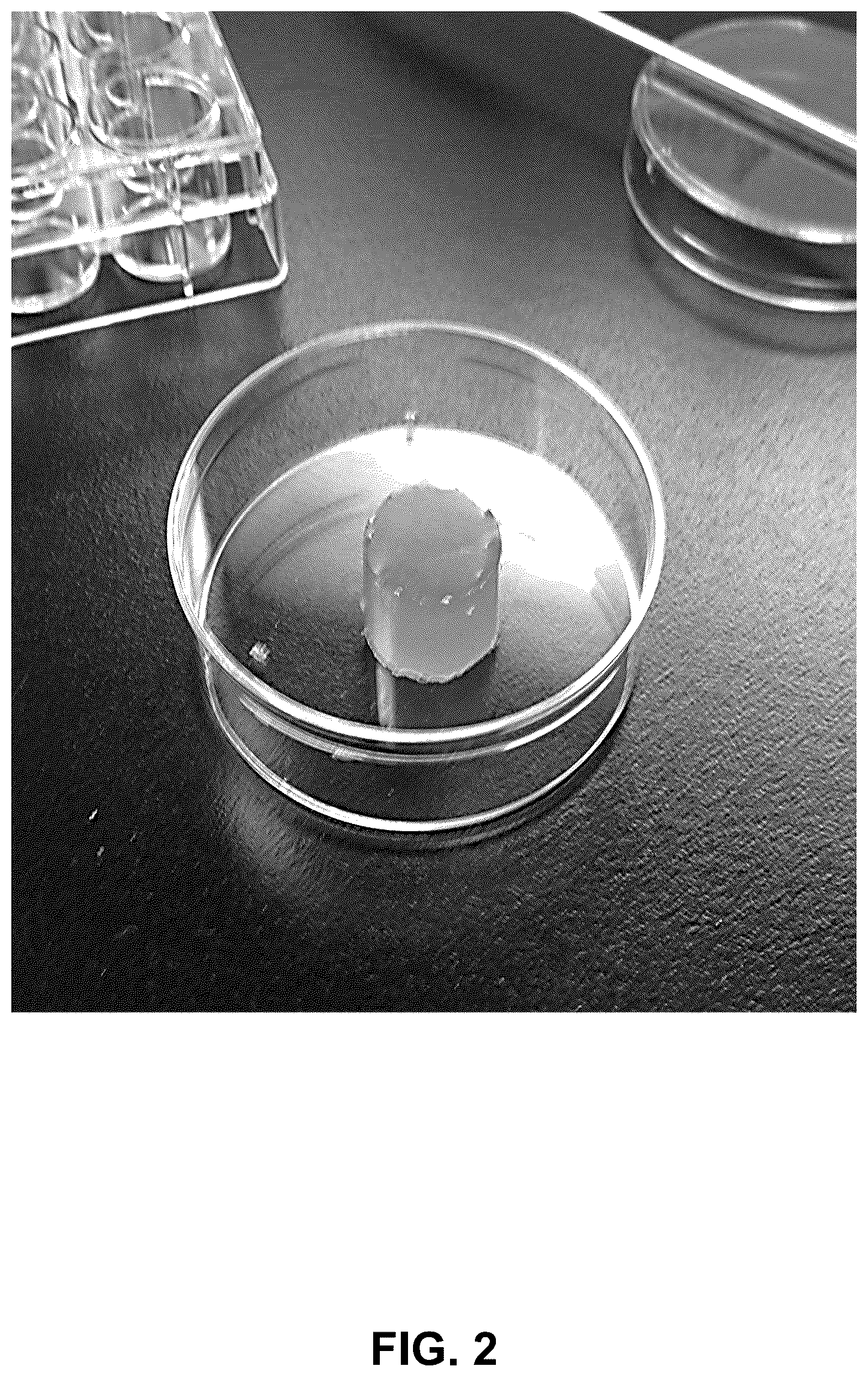 Patent US12396994 Figure 3 – Compositions for improving physiological function with age