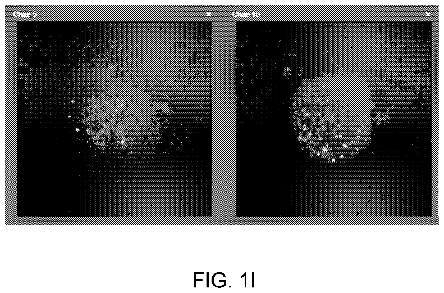 Patent US12396996 Figure 9 – Compounds, pharmaceutical compositions, and methods of their use in reversing cancer chemoresistance