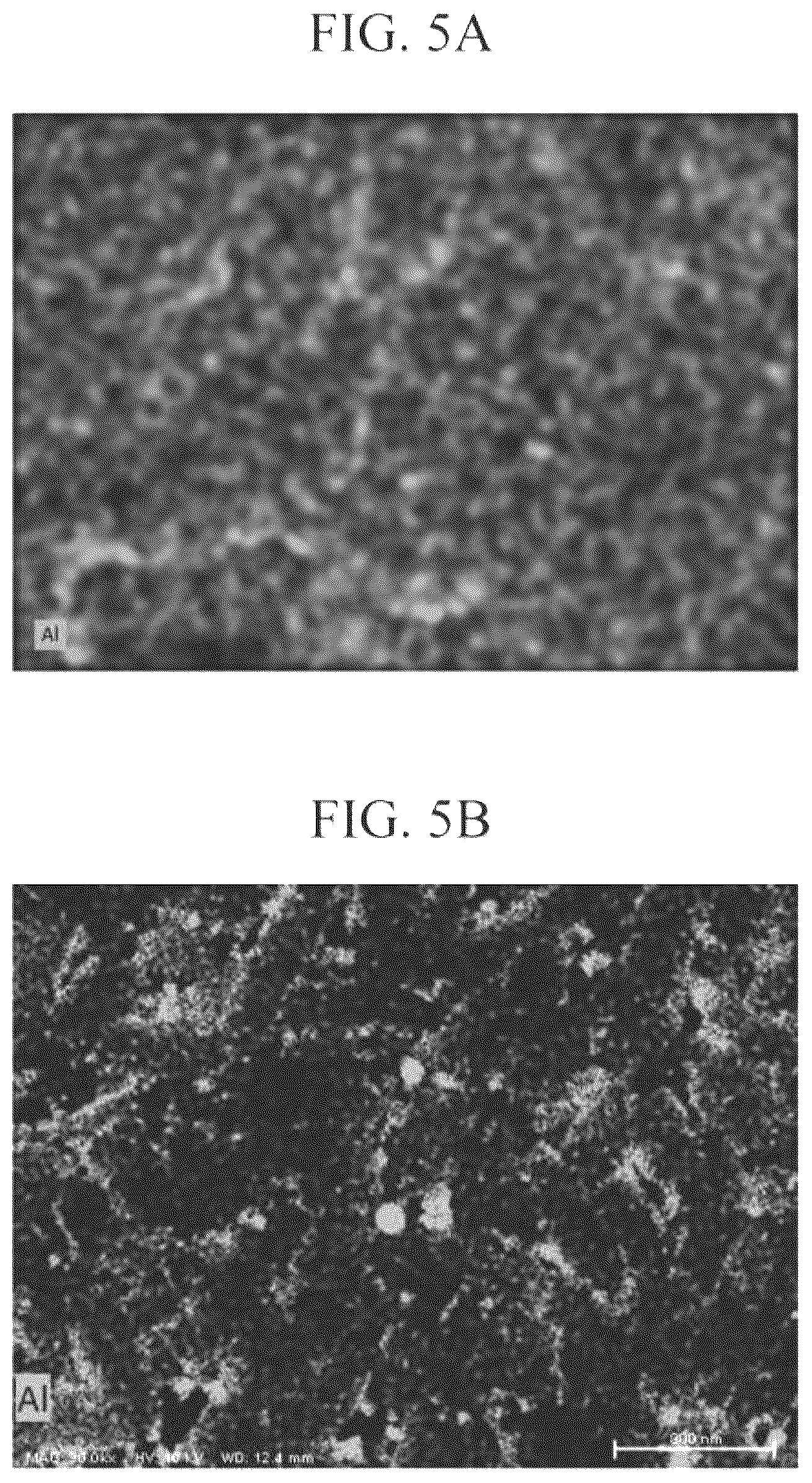 Patent US12401037 Figure 4 – Cathode active material for lithium secondary battery, lithium secondary battery and method of manufacturing the same