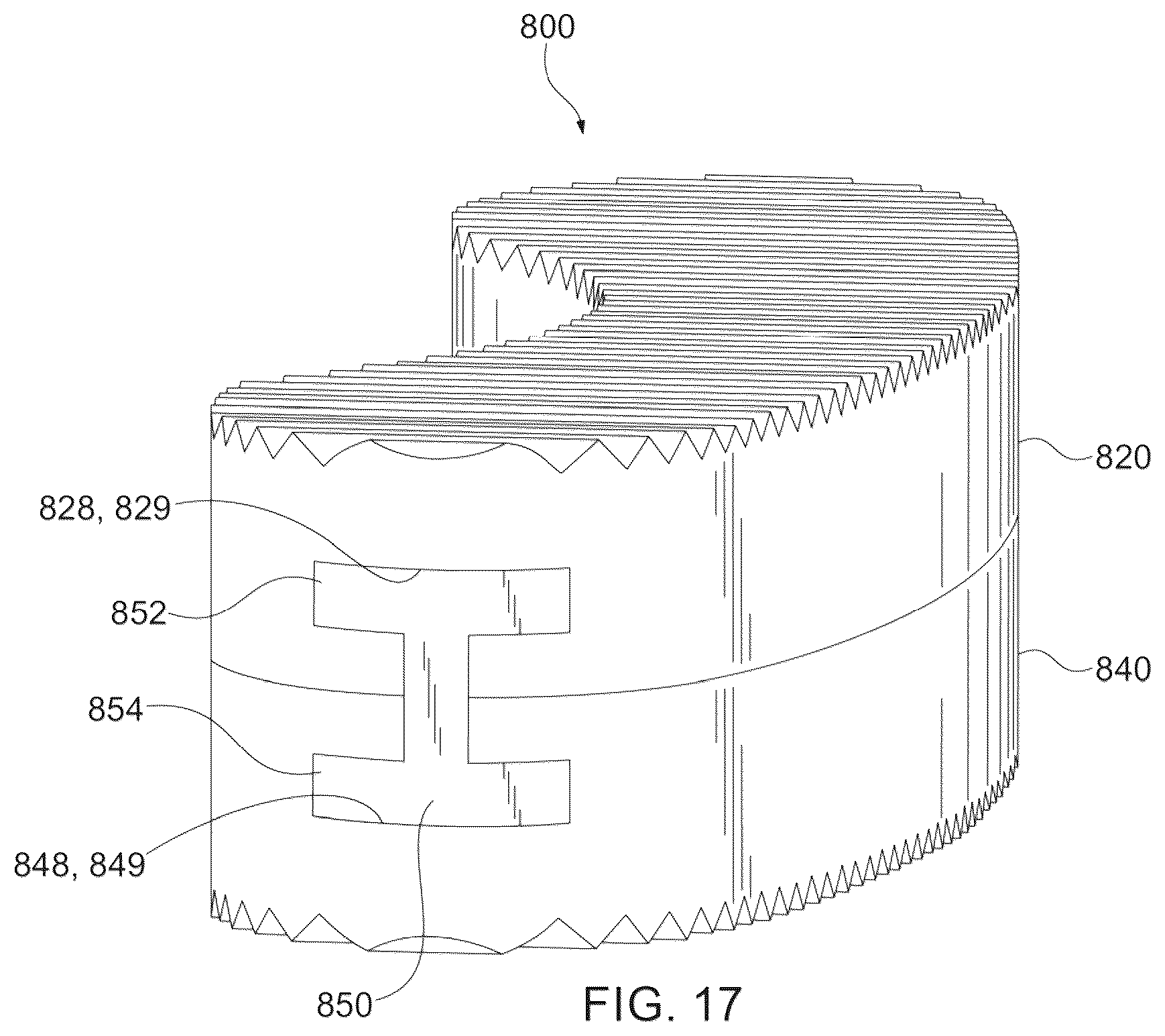 Patent US12403016 Figure 10 – Bone graft and method of making and using same