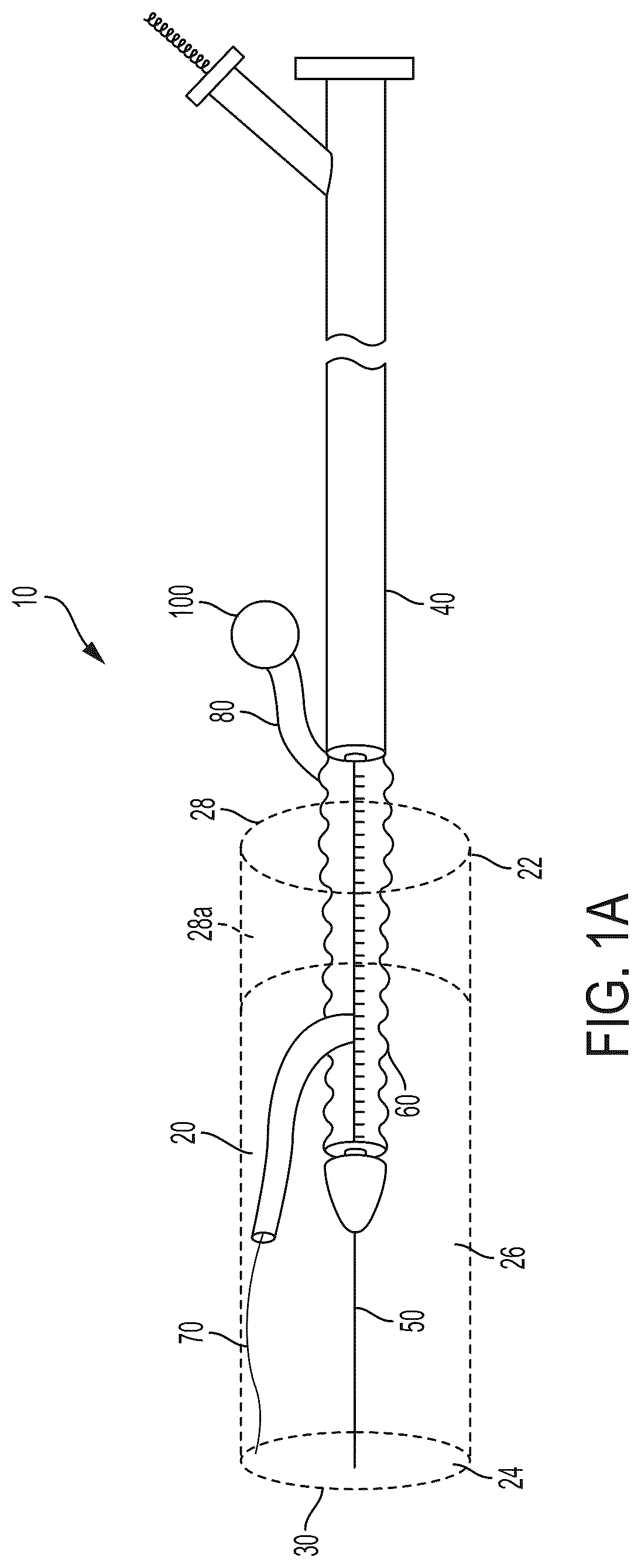 Patent US12403023 Figure 1 – Delivery system aid and associated systems and methods