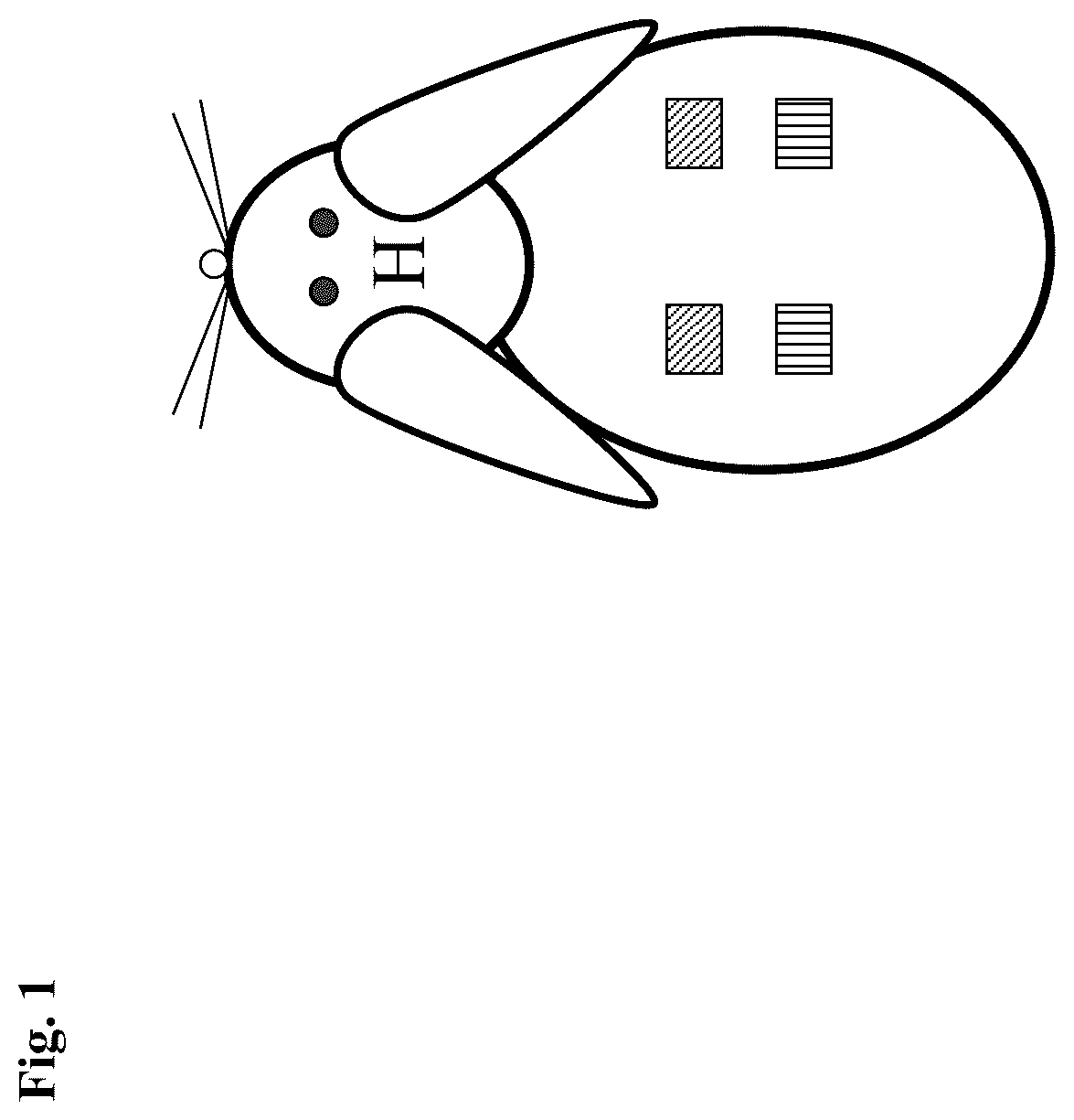 Patent US12403087 Figure 1 – Topical antiviral compositions, delivery systems, and methods of using the same