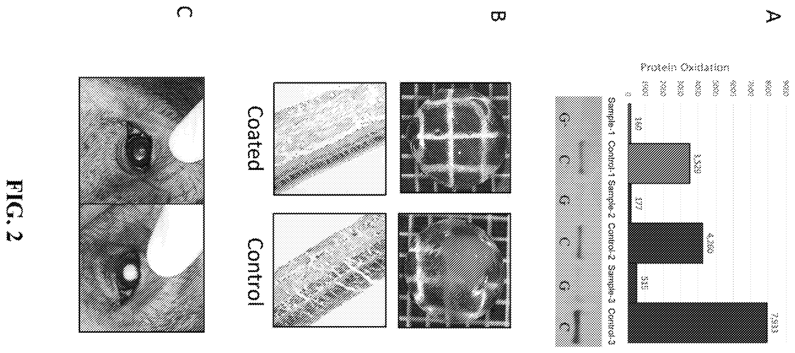 Patent US12403088 Figure 2 – Ophthalmic compositions and methods for reducing oxidative damage to an eye lens