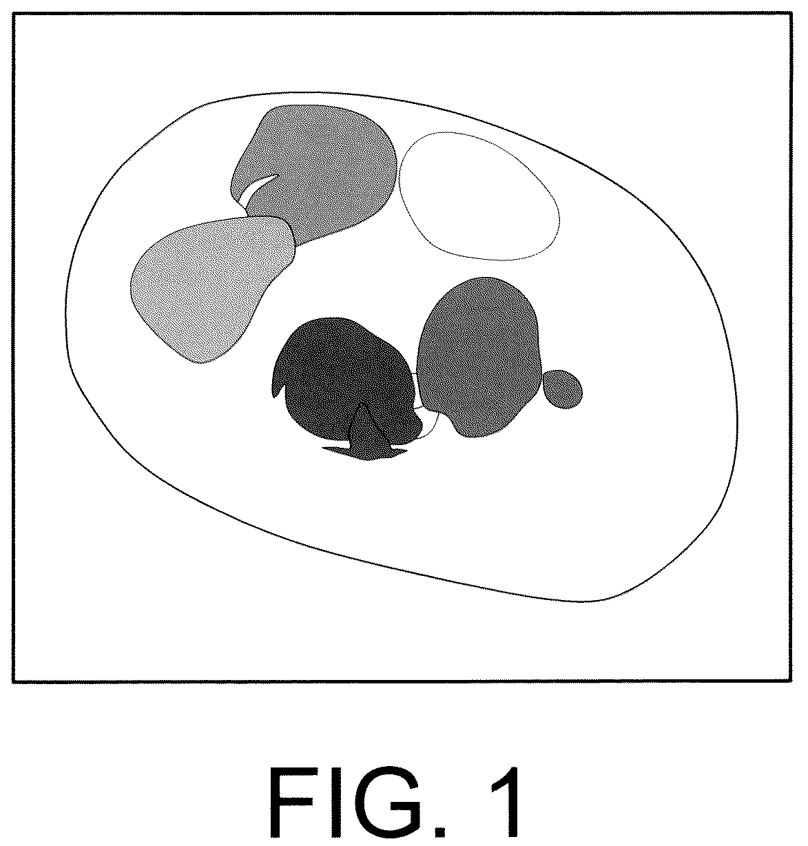 Patent US12403089 — Carrier for the oral absorption of an active substance by animals, method for preparing same and uses thereof — Figure 1