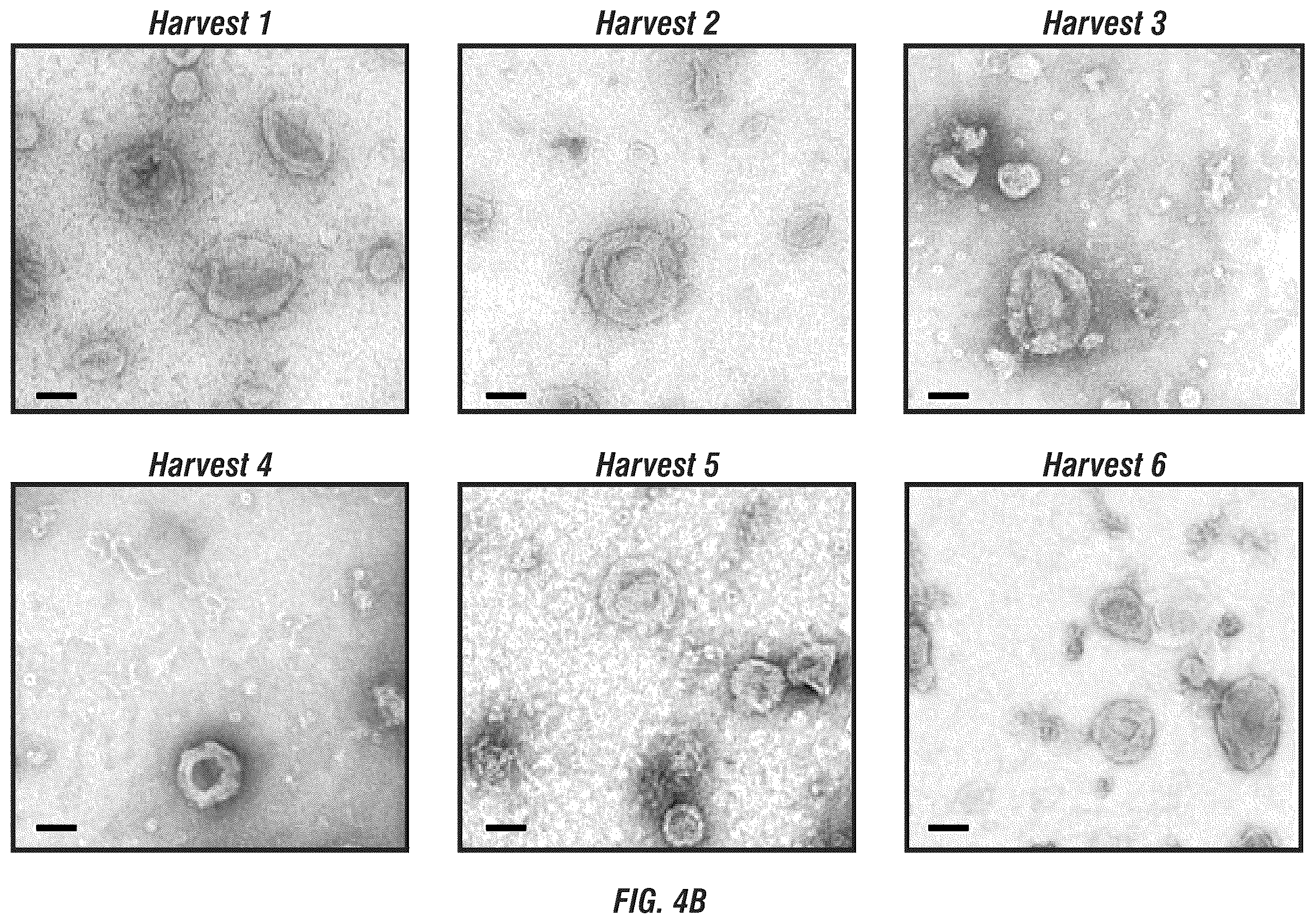 Patent US12403093 Figure 18 – Methods for production of MSC-derived exosomes