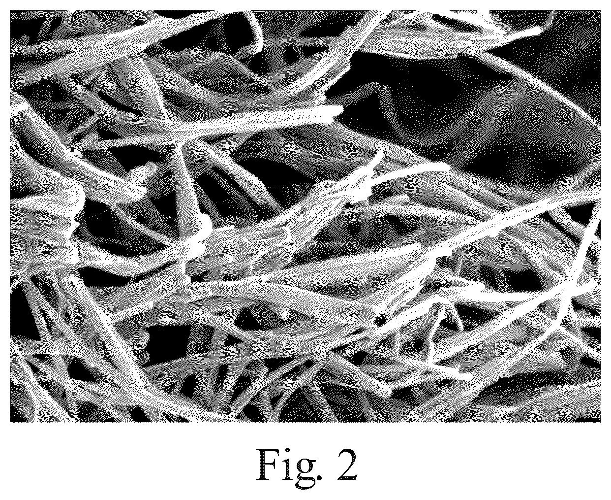 Patent US12403094 Figure 2 – Rheological solid oral composition