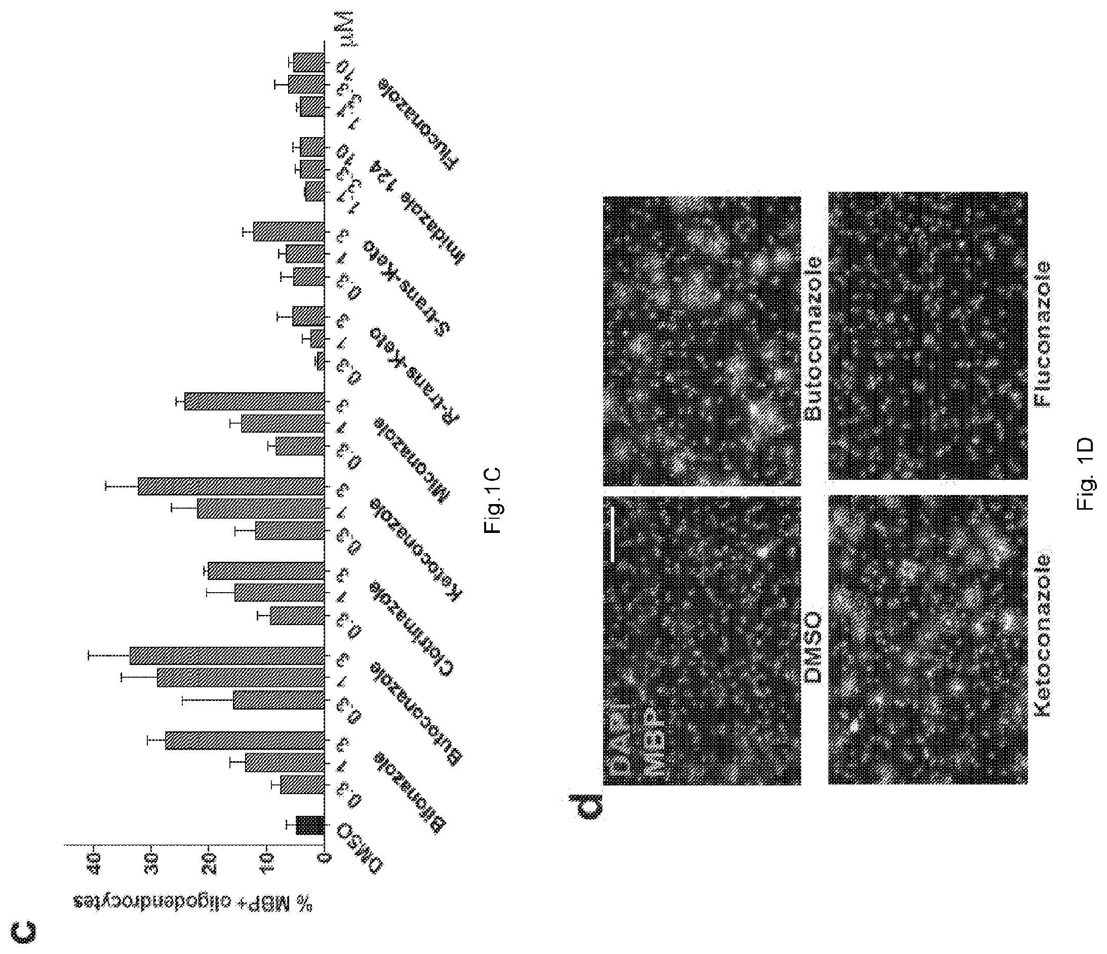 Patent US12403104 Figure 2 – Compounds and methods of promoting myelination