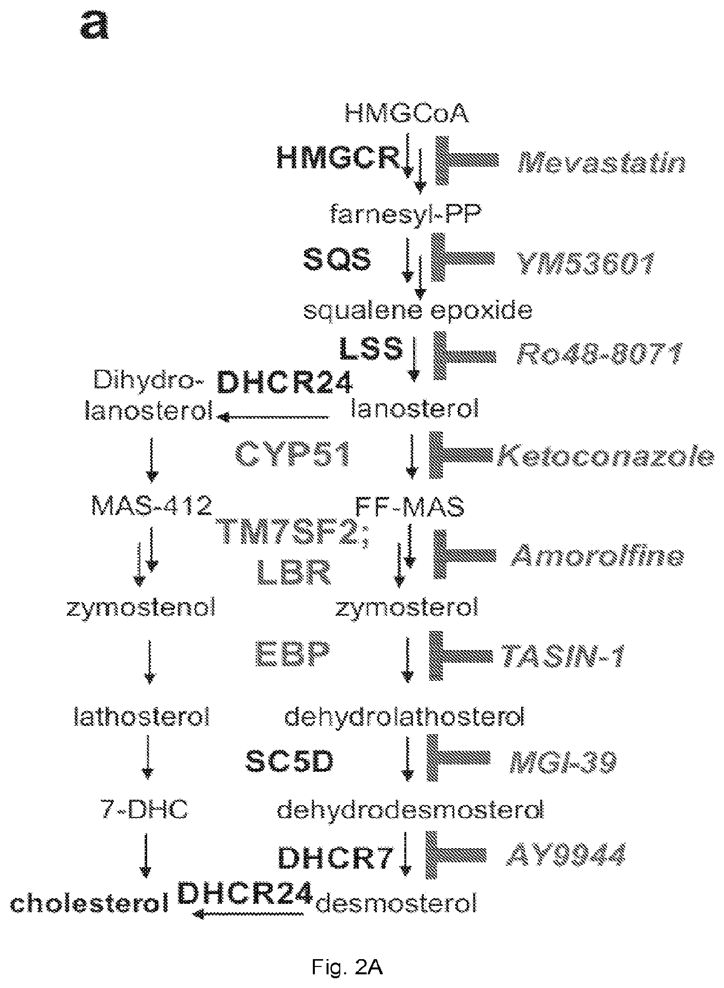 Patent US12403104 Figure 5 – Compounds and methods of promoting myelination