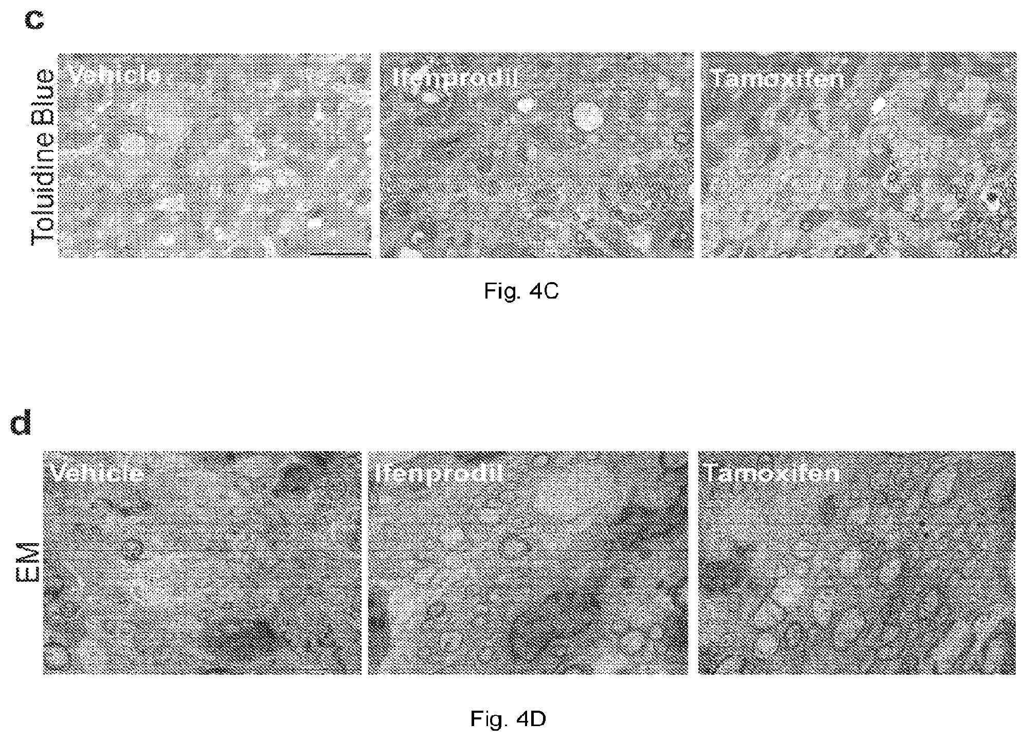 Patent US12403104 Figure 12 – Compounds and methods of promoting myelination