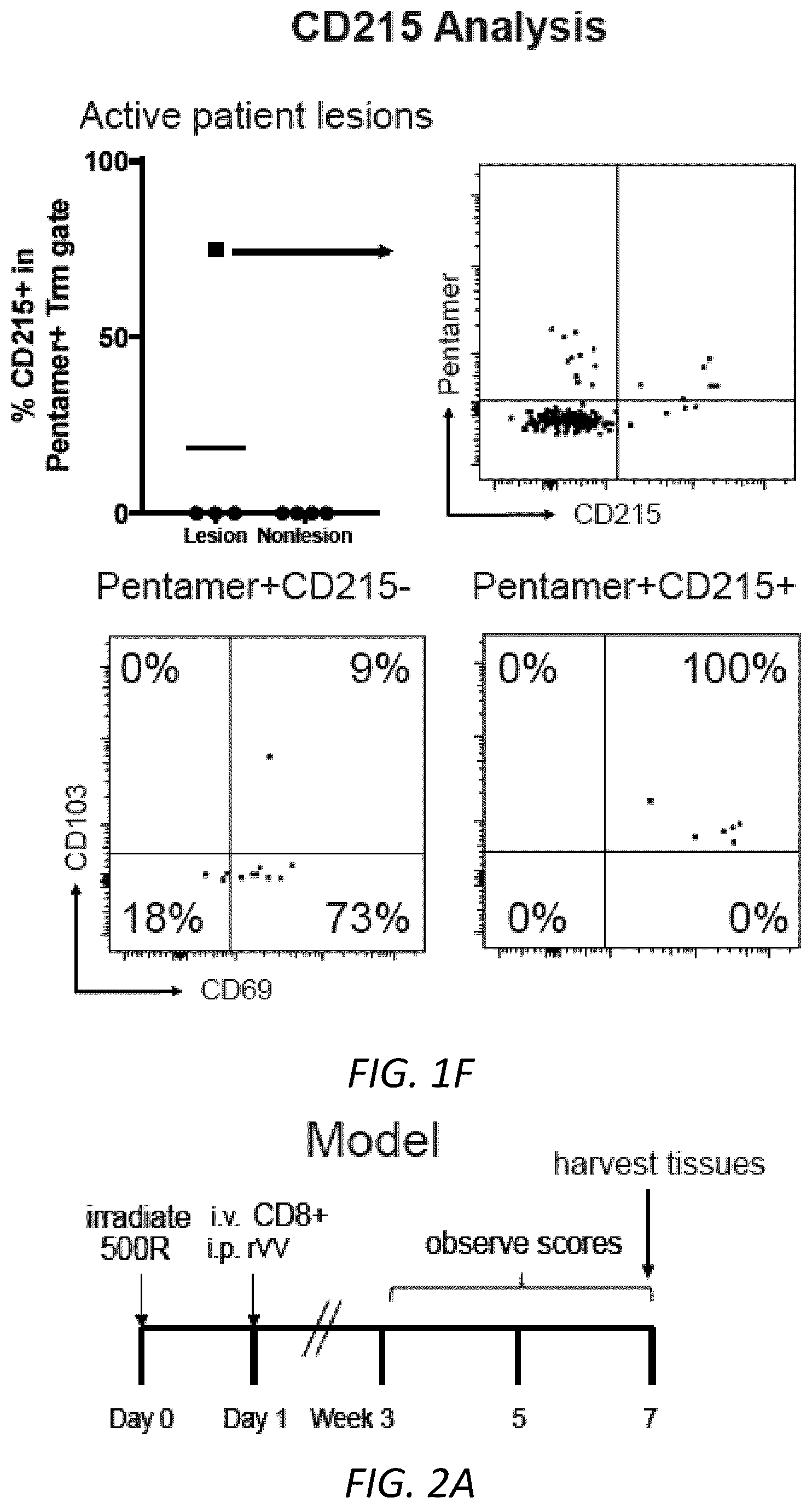 Patent US12403105 Figure 6 – Diagnosis and treatment of vitiligo