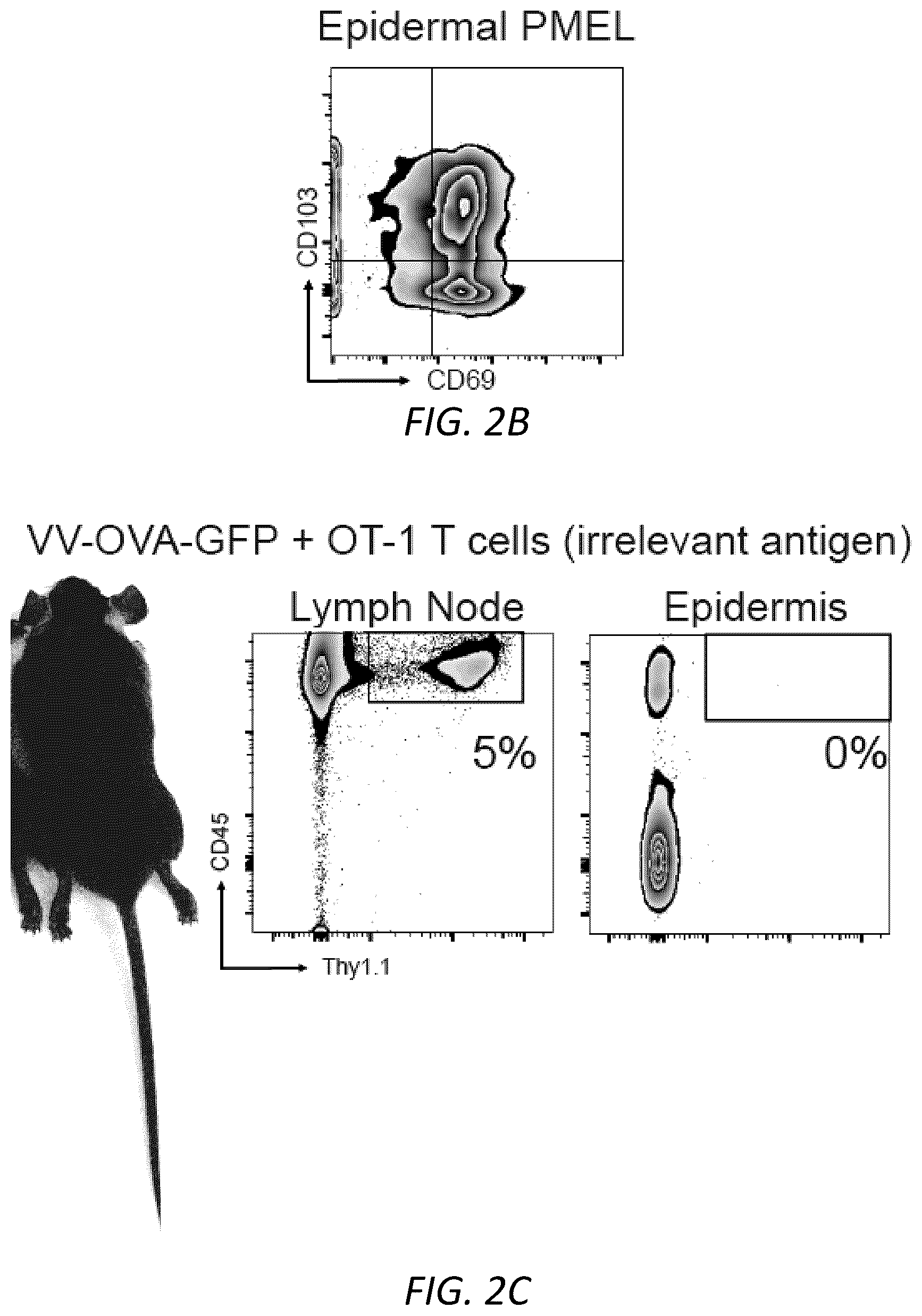 Patent US12403105 Figure 7 – Diagnosis and treatment of vitiligo