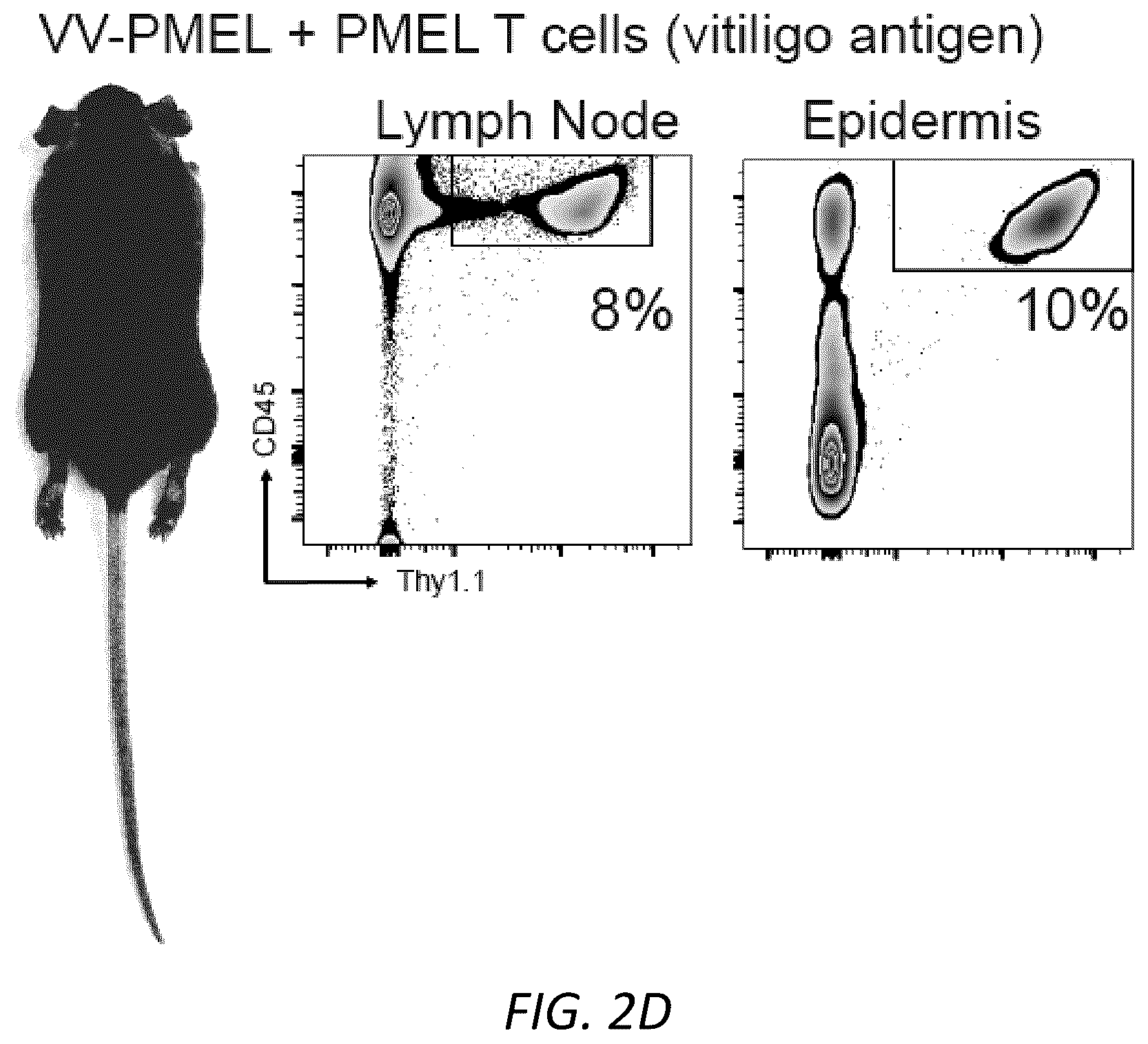 Patent US12403105 Figure 8 – Diagnosis and treatment of vitiligo