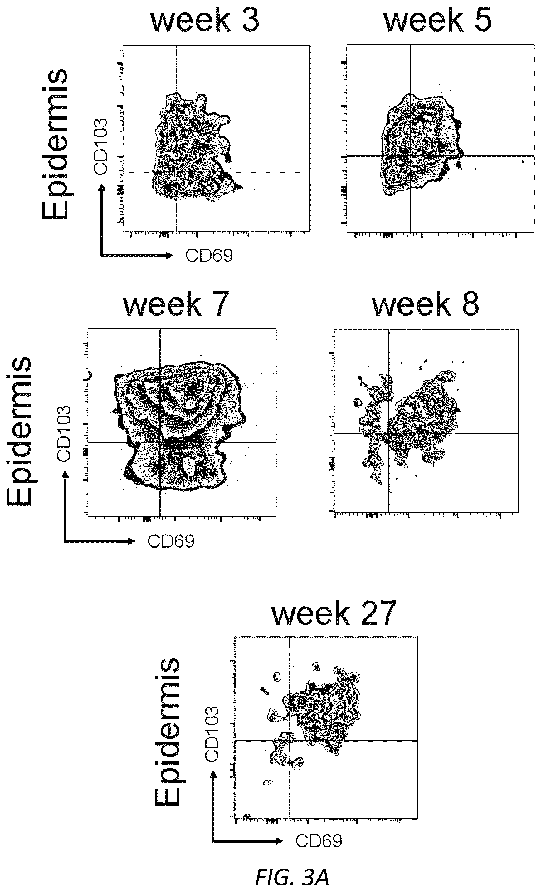 Patent US12403105 Figure 10 – Diagnosis and treatment of vitiligo