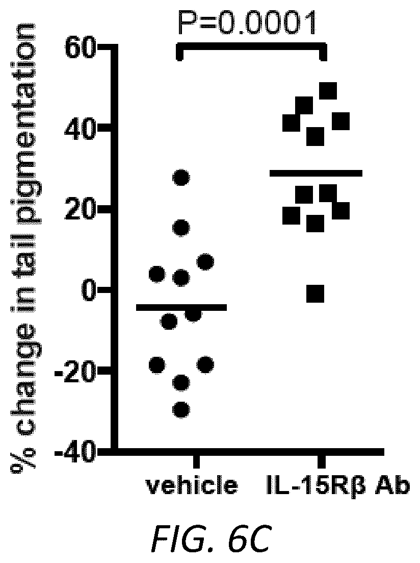 Patent US12403105 Figure 17 – Diagnosis and treatment of vitiligo
