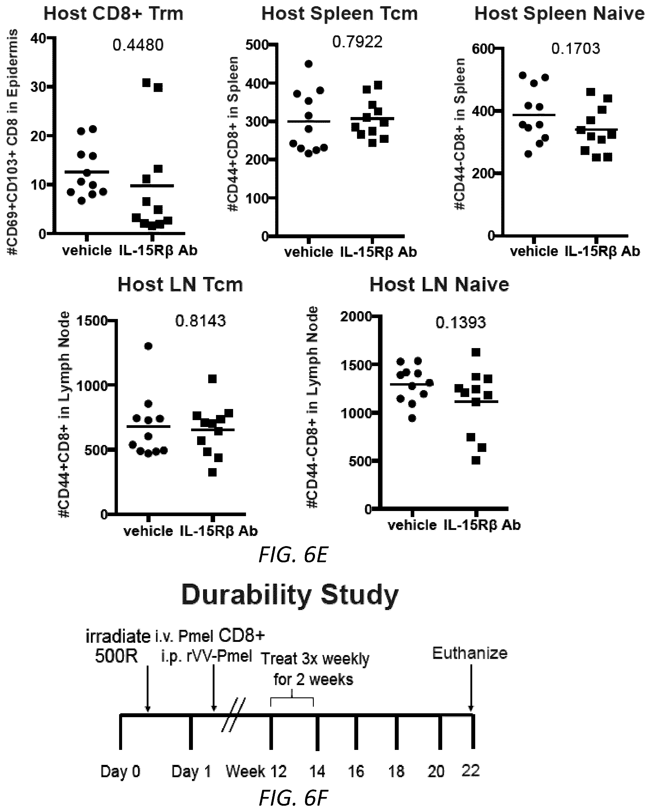 Patent US12403105 Figure 19 – Diagnosis and treatment of vitiligo