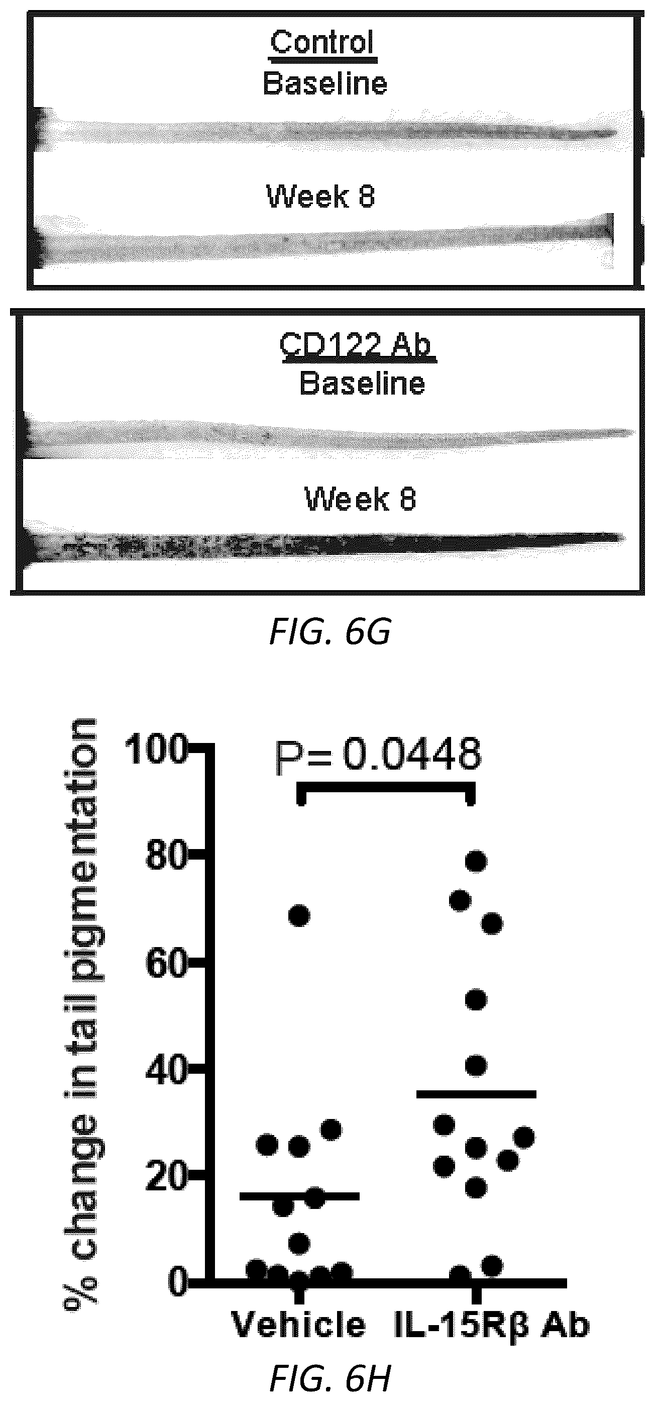 Patent US12403105 Figure 20 – Diagnosis and treatment of vitiligo