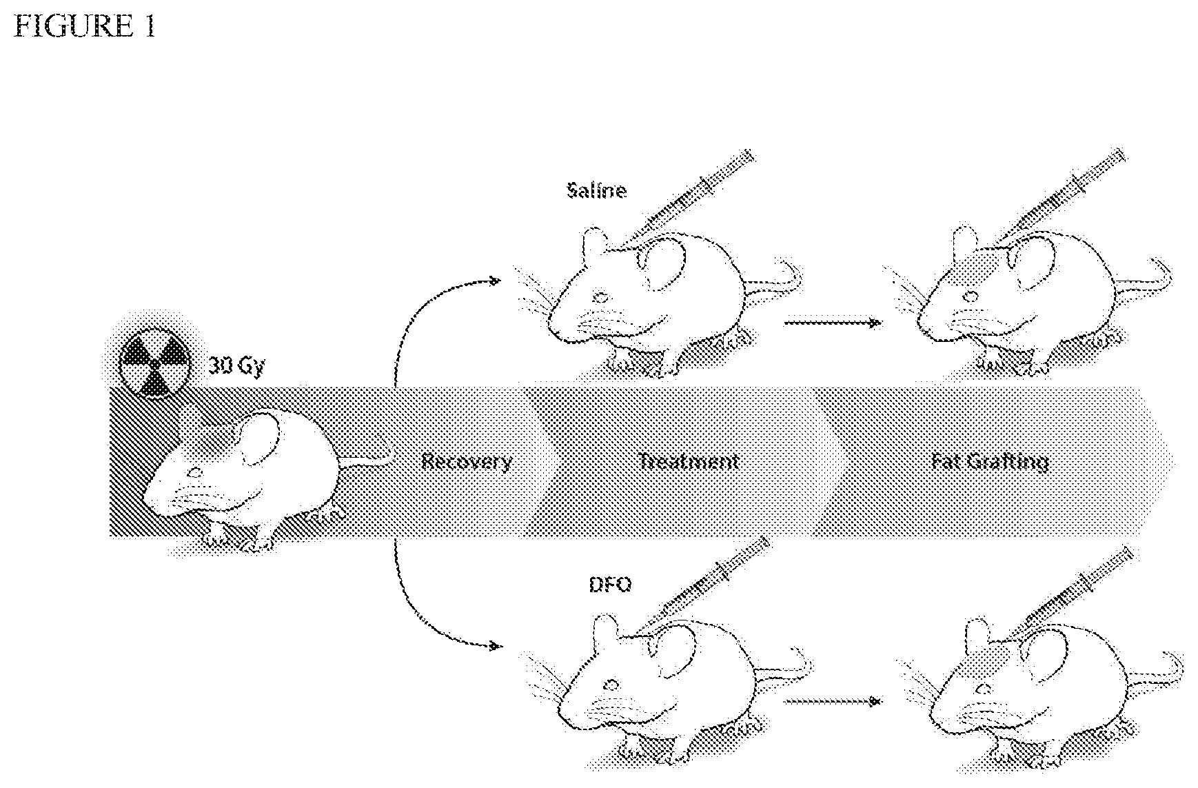 Patent US12403106 Figure 1 – Prophylactic skin treatment for radiation therapy