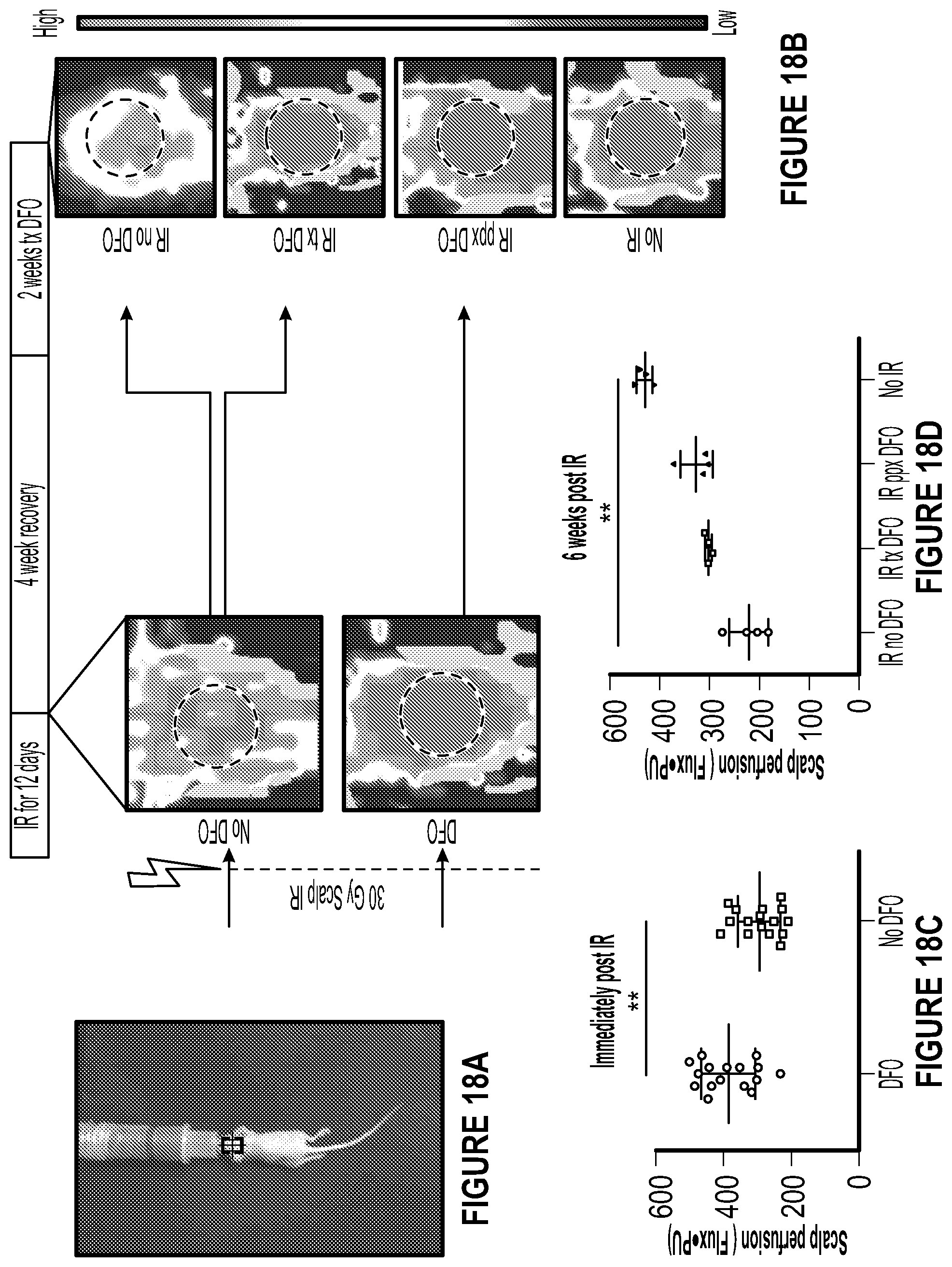 Patent US12403106 Figure 12 – Prophylactic skin treatment for radiation therapy