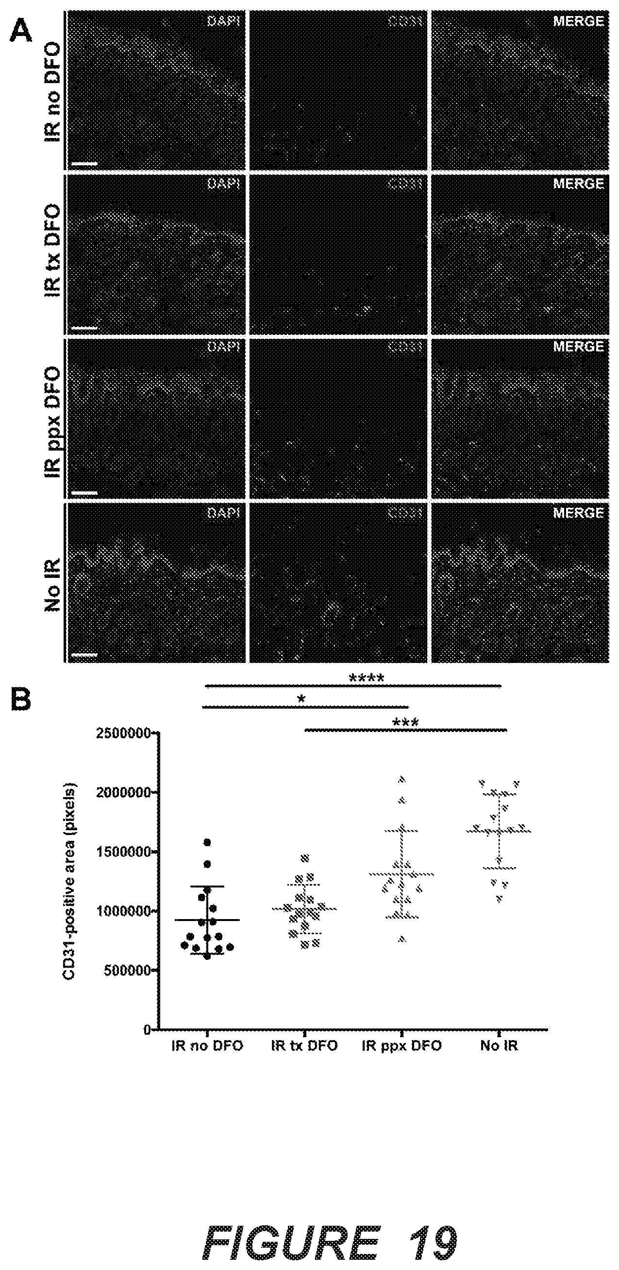 Patent US12403106 Figure 13 – Prophylactic skin treatment for radiation therapy
