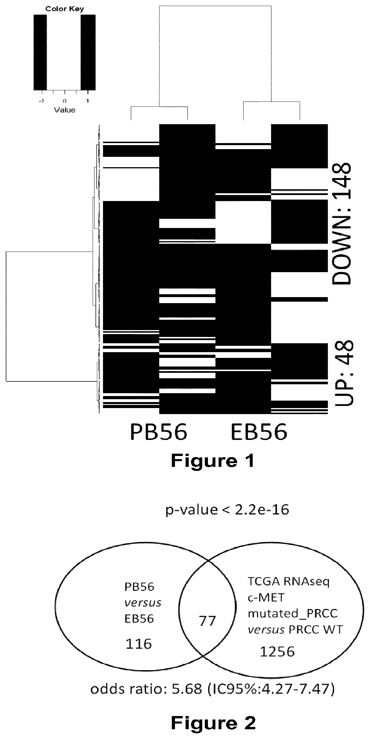 Patent US12403110 Figure 1 – Methods and compositions for treating cancers