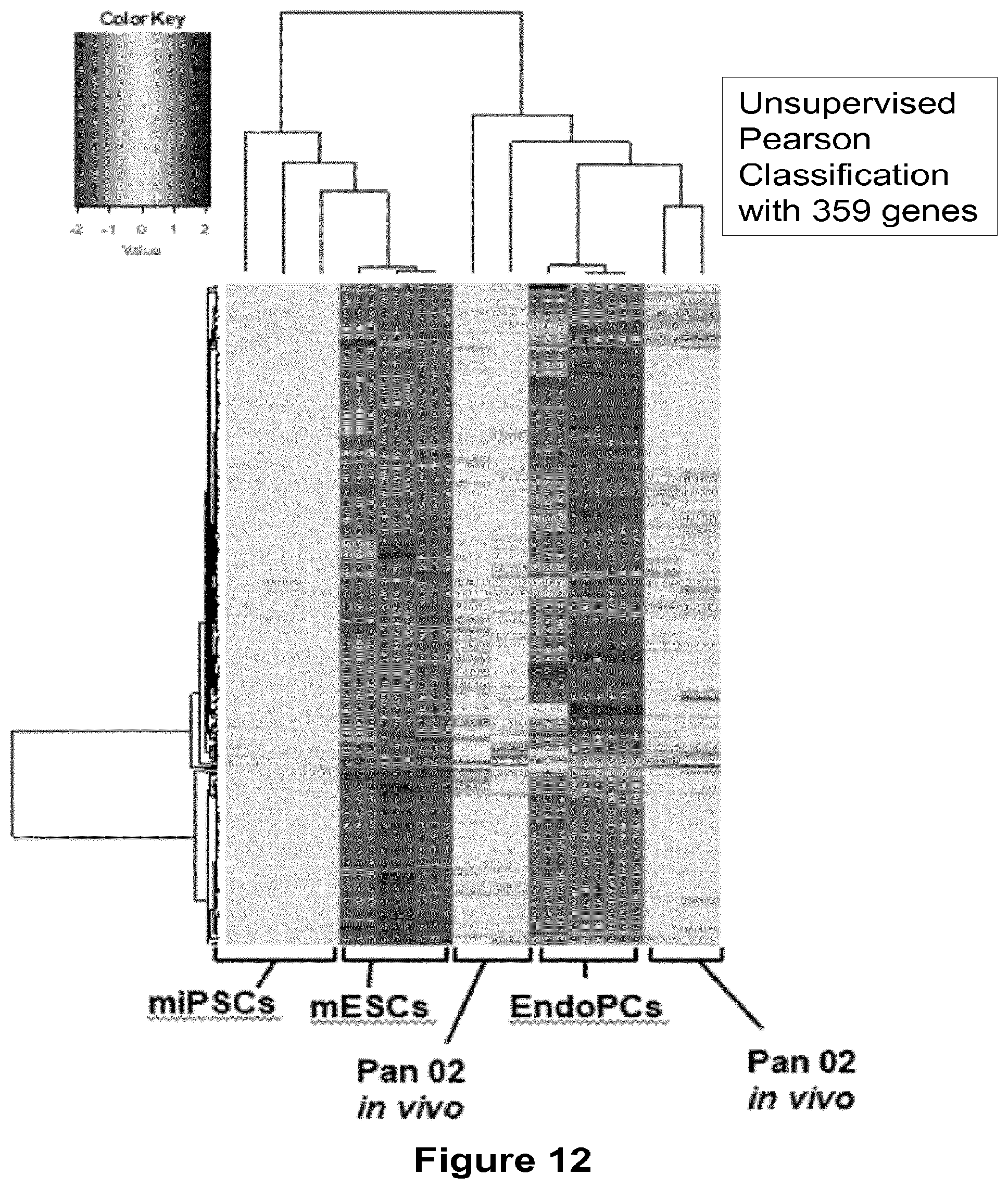 Patent US12403110 Figure 9 – Methods and compositions for treating cancers