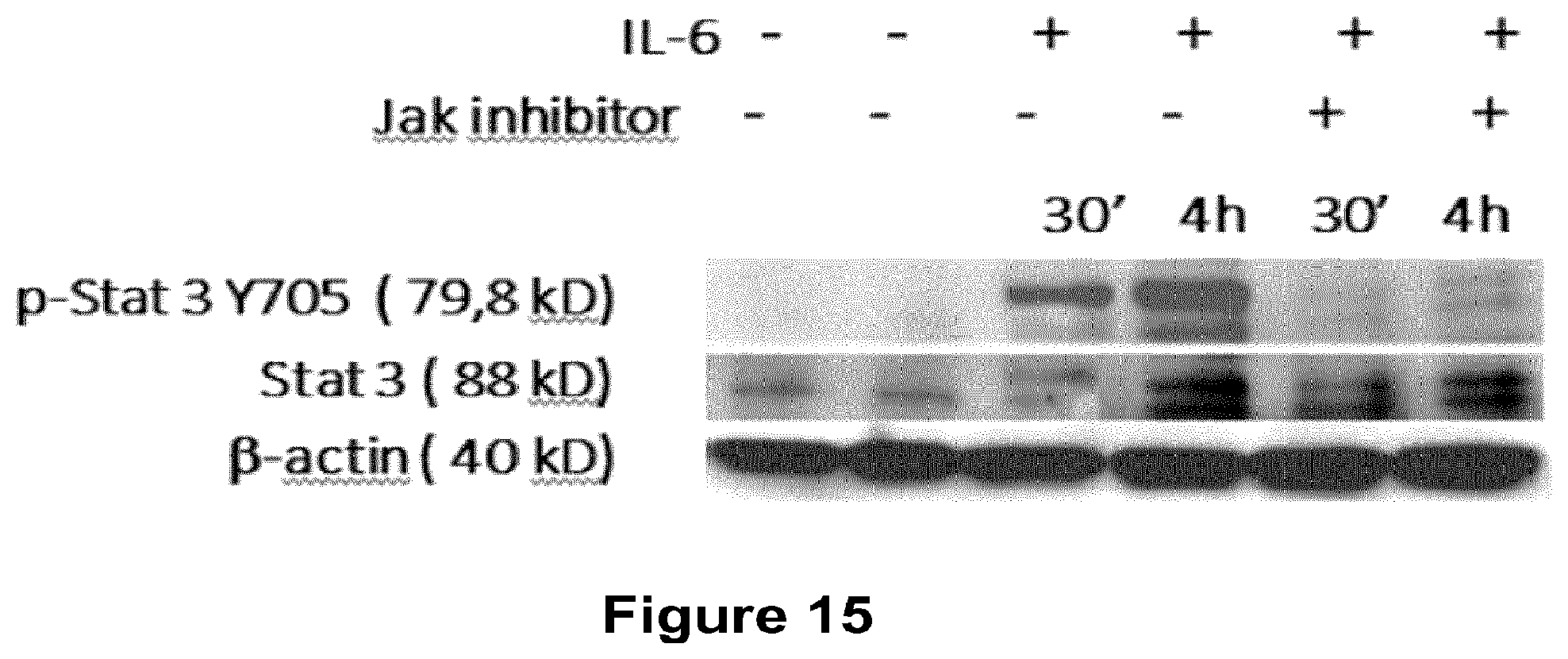 Patent US12403110 Figure 12 – Methods and compositions for treating cancers