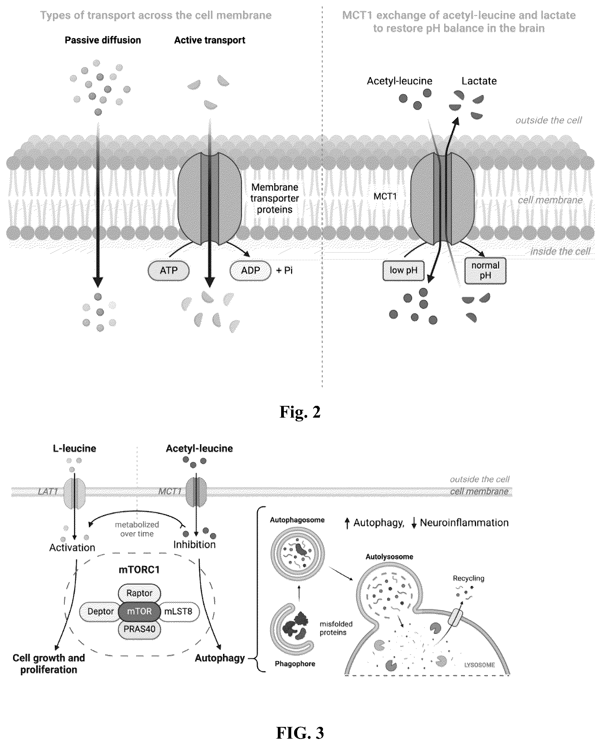 Patent US12403111 Figure 2 – Compositions and methods for treating neurodevelopmental disorders