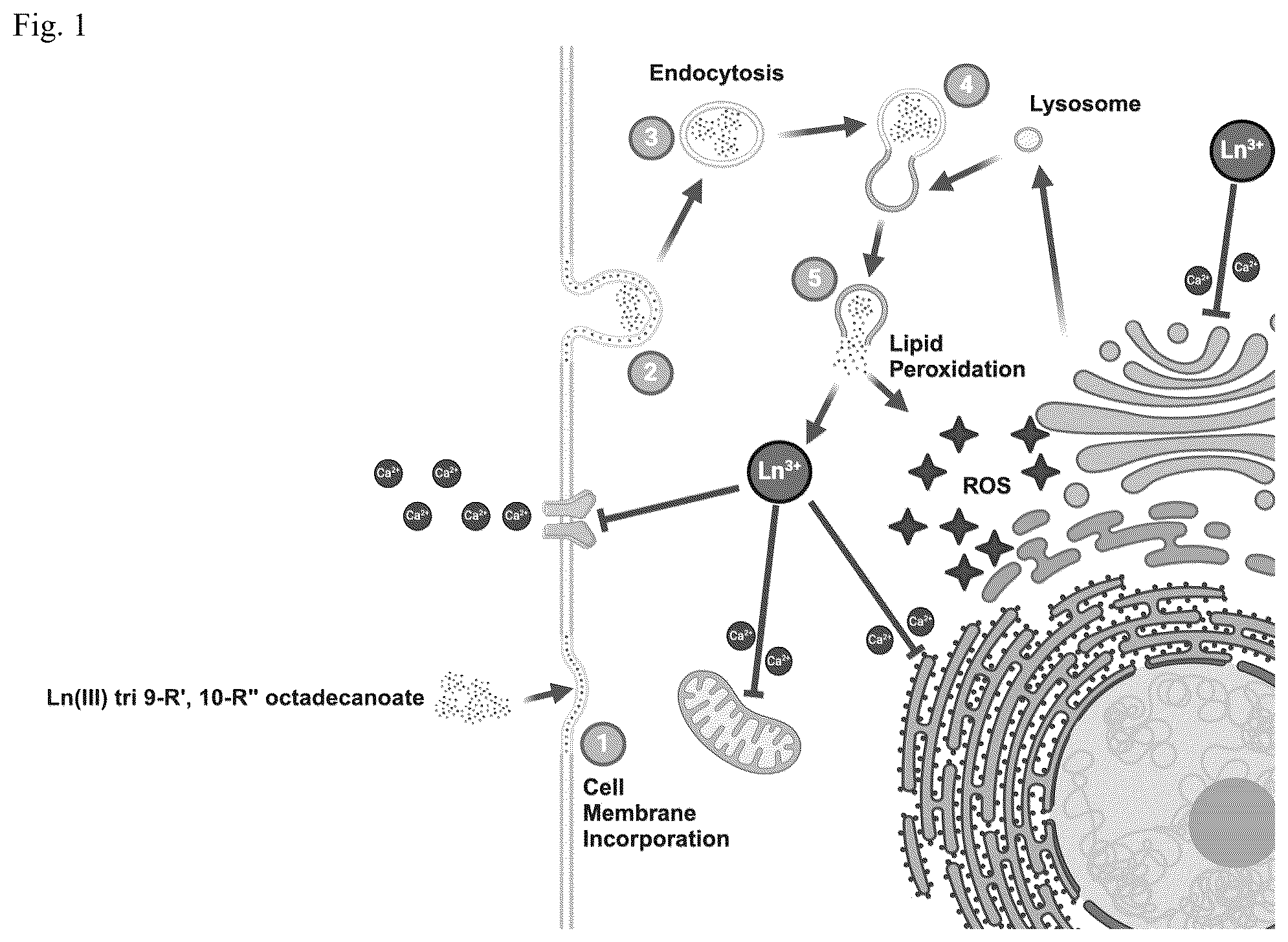Patent US12403118 Figure 1 – Cancer treatments using modified fatty acids and the carriers to administer them