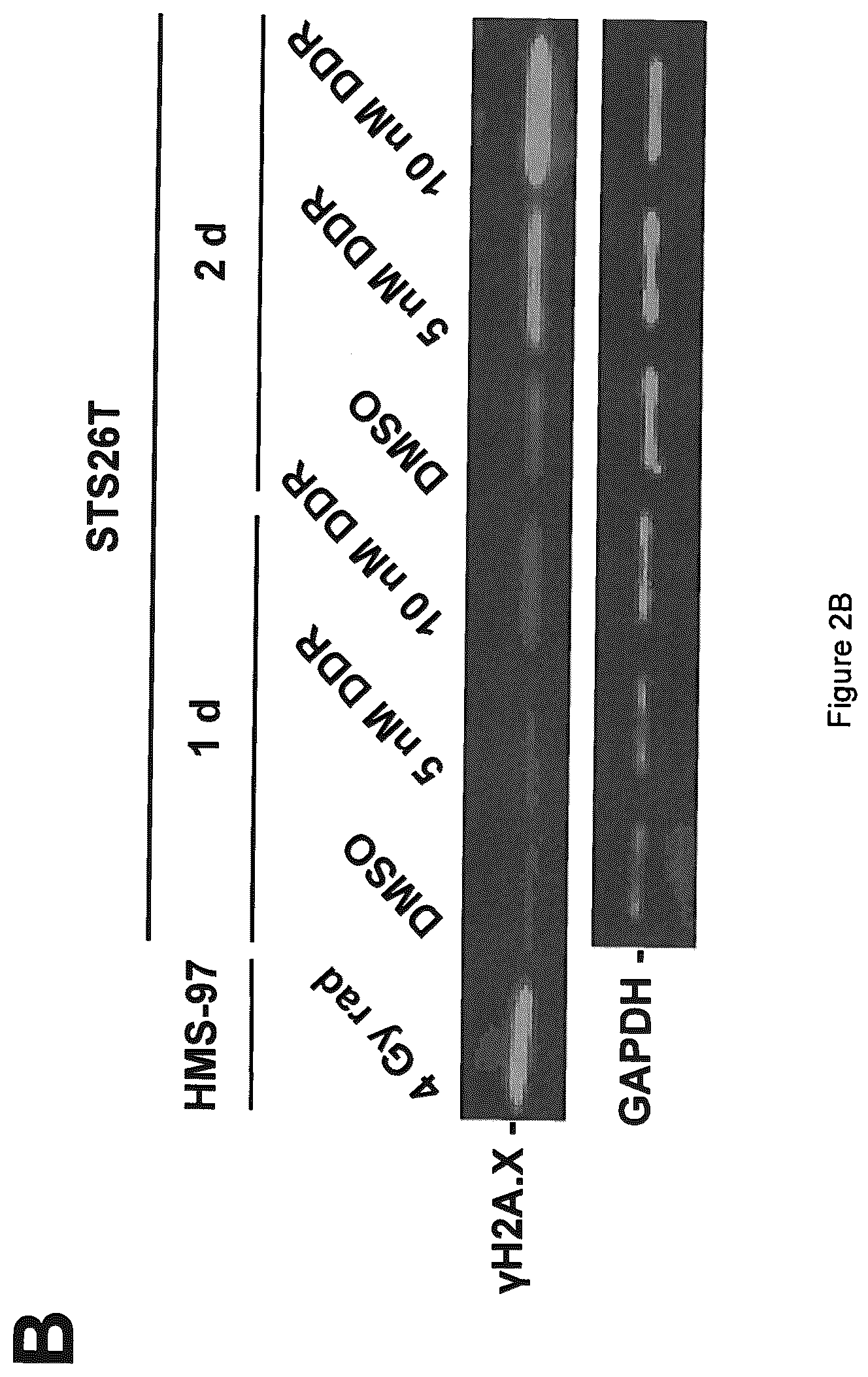 Patent US12403121 Figure 3 – Anticancer rocaglamide derivatives