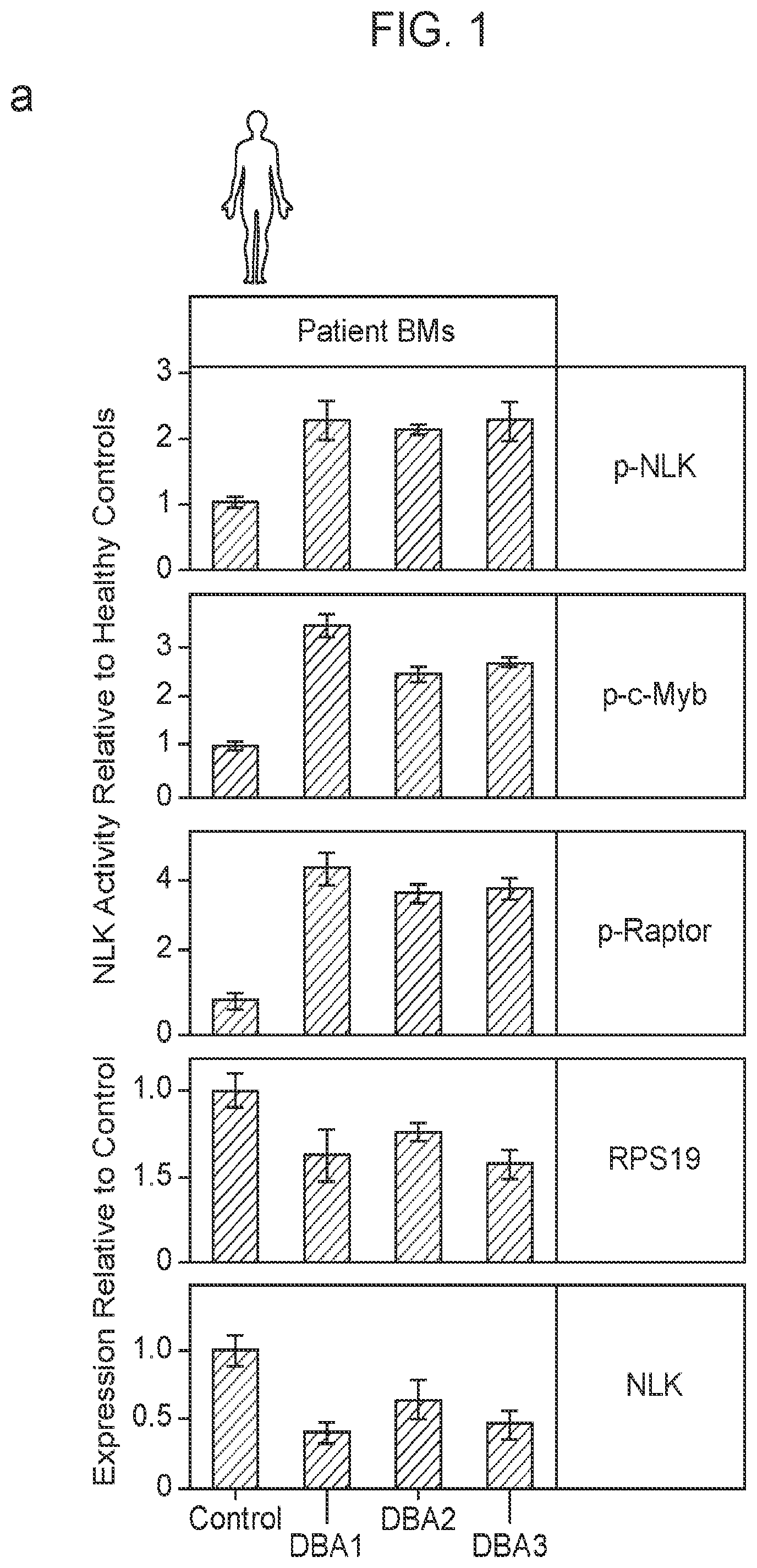 Patent US12403132 Figure 1 – Methods of treating bone marrow failure syndromes and compositions for use in the same
