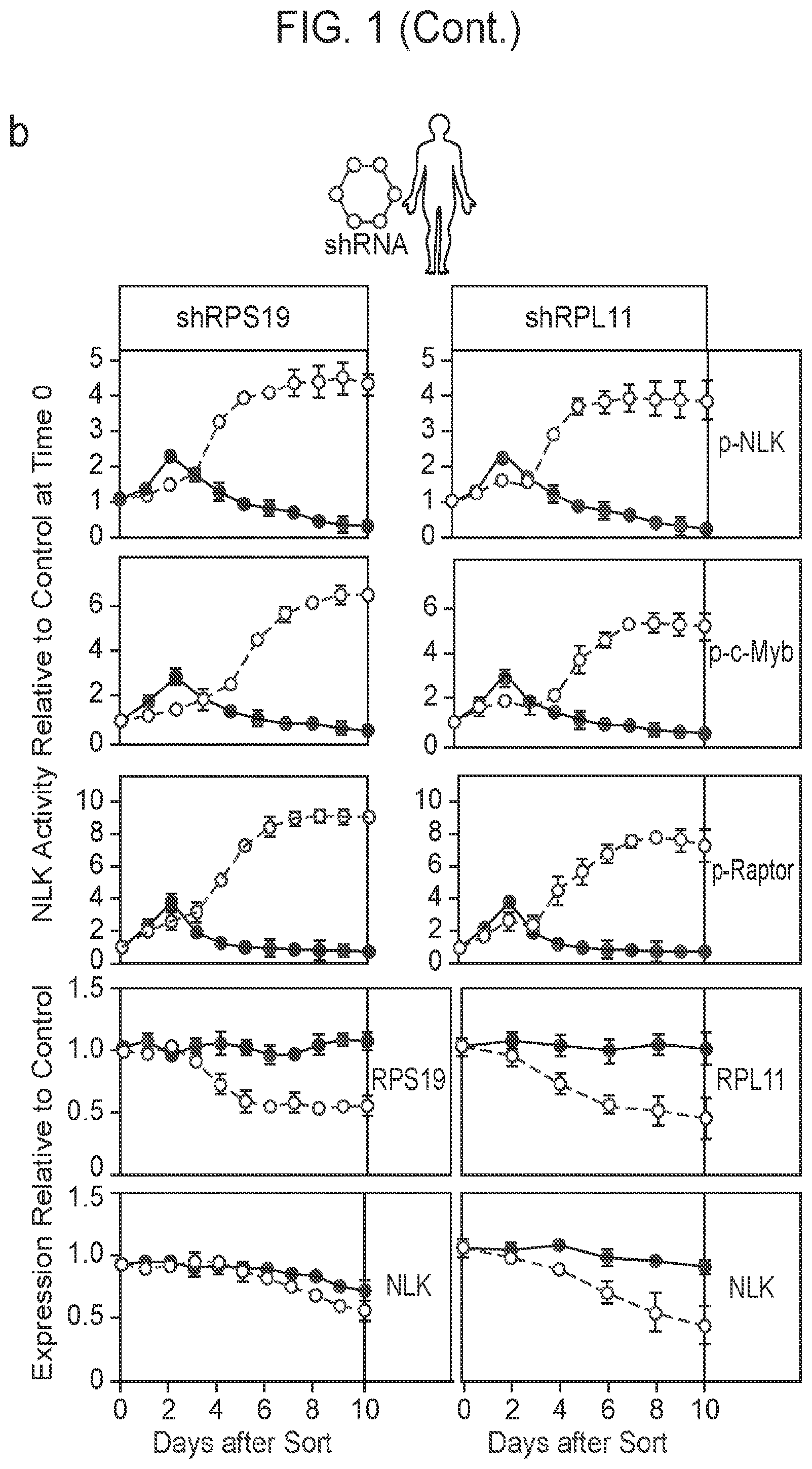 Patent US12403132 Figure 2 – Methods of treating bone marrow failure syndromes and compositions for use in the same