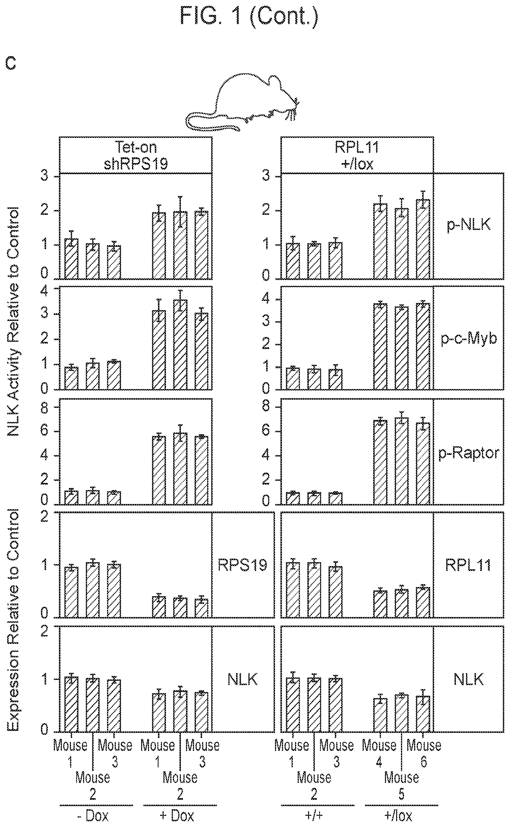 Patent US12403132 Figure 3 – Methods of treating bone marrow failure syndromes and compositions for use in the same