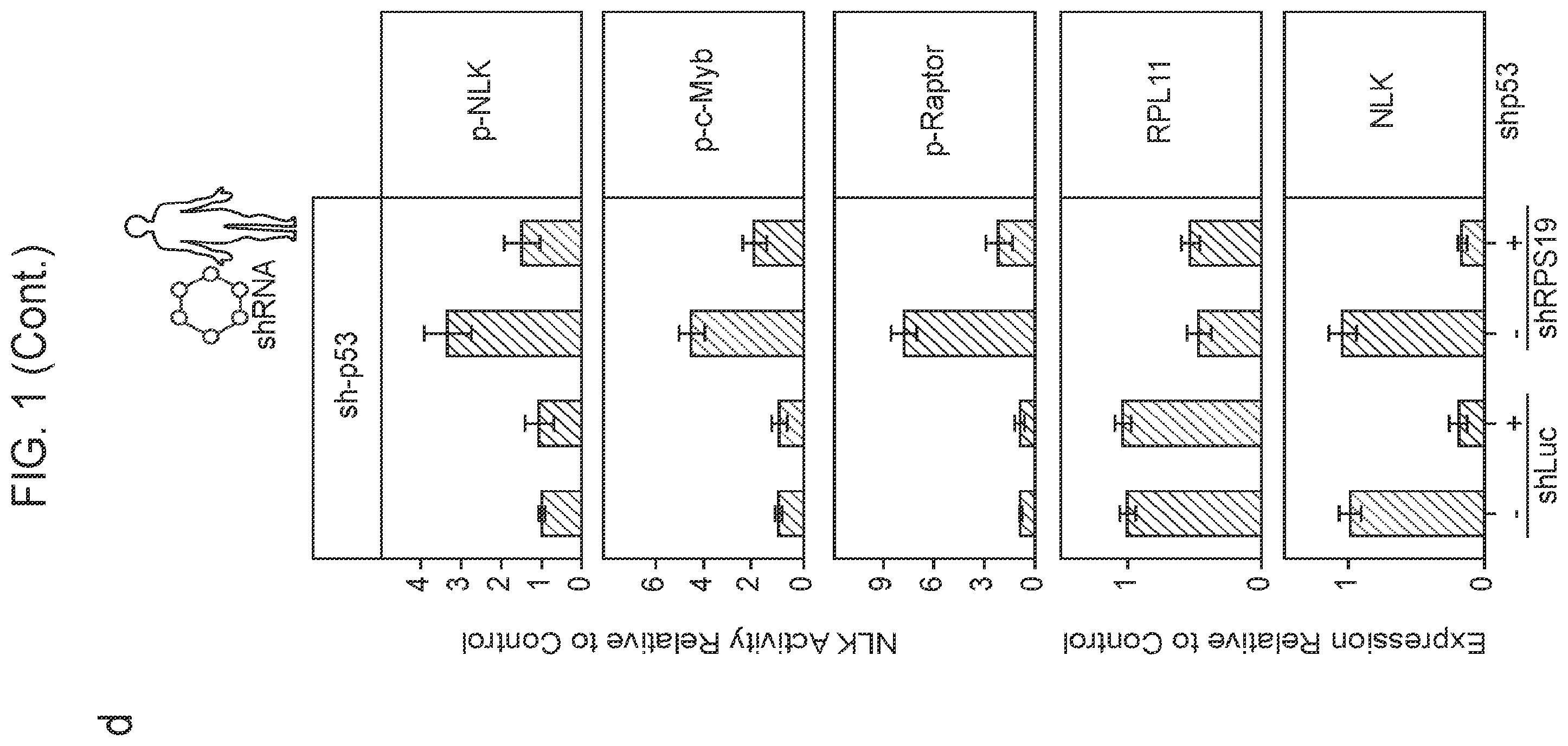Patent US12403132 Figure 4 – Methods of treating bone marrow failure syndromes and compositions for use in the same