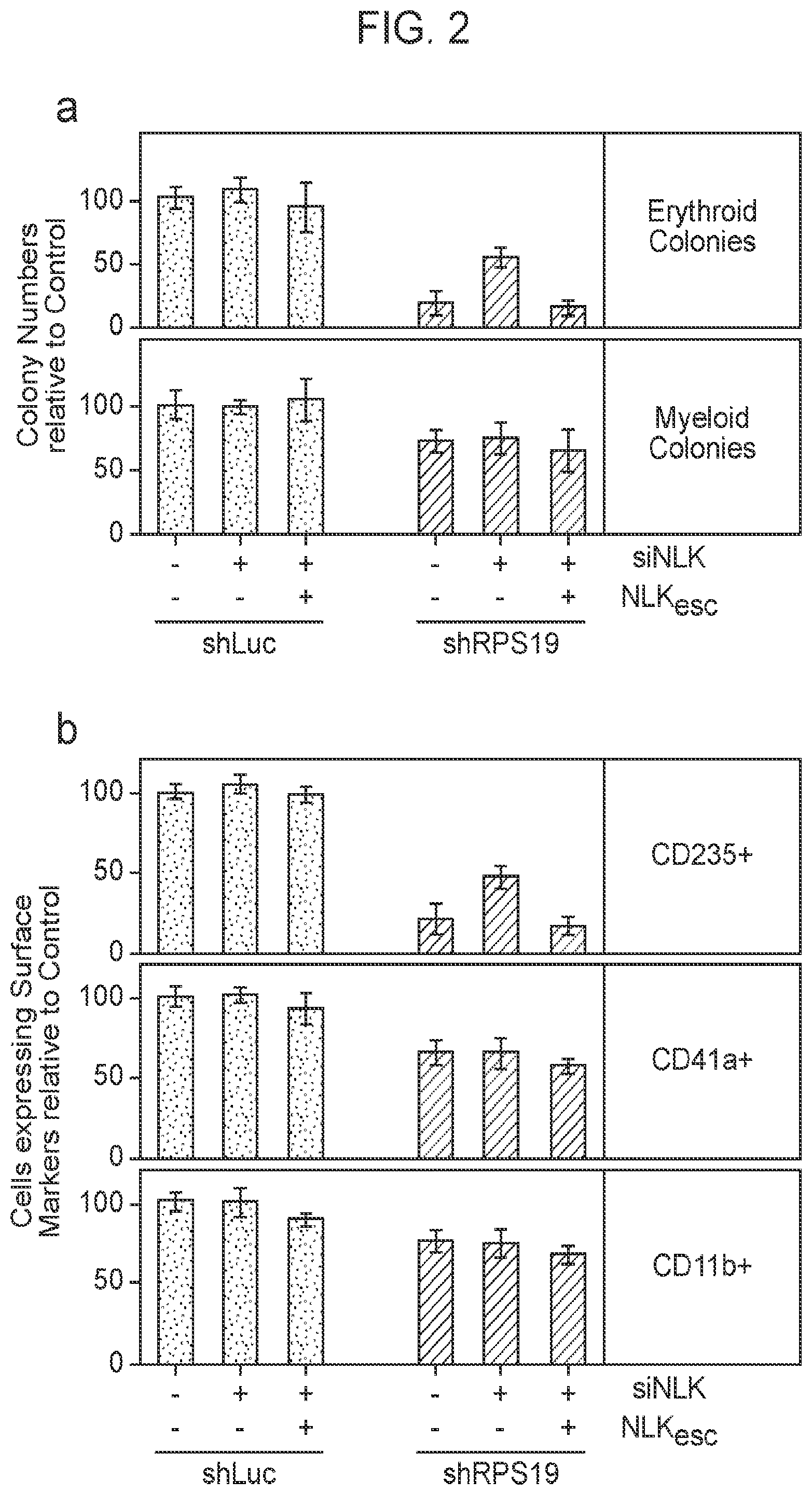 Patent US12403132 Figure 5 – Methods of treating bone marrow failure syndromes and compositions for use in the same