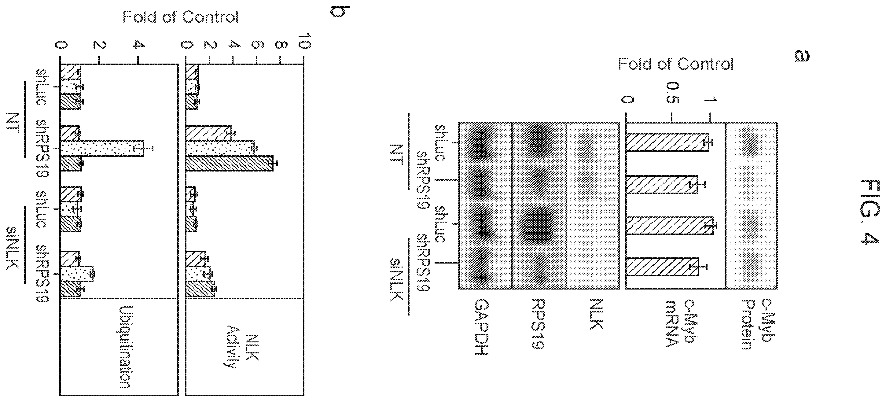 Patent US12403132 Figure 11 – Methods of treating bone marrow failure syndromes and compositions for use in the same