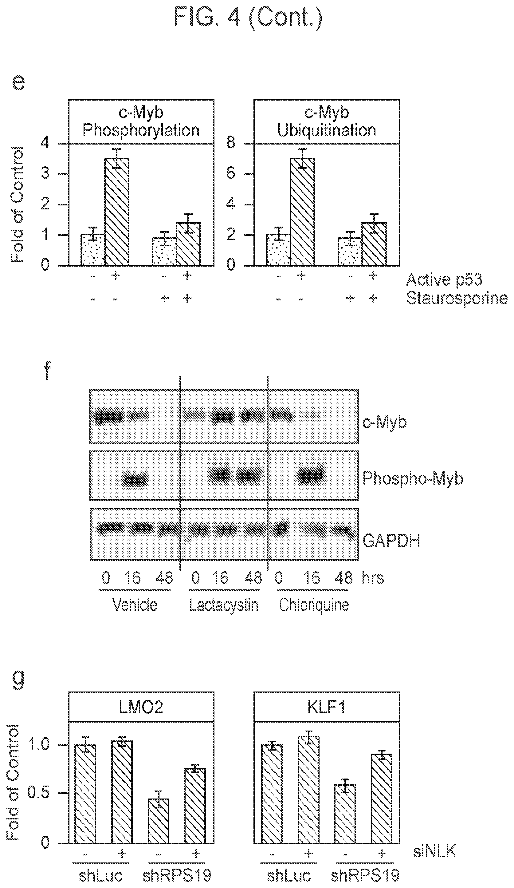Patent US12403132 Figure 13 – Methods of treating bone marrow failure syndromes and compositions for use in the same