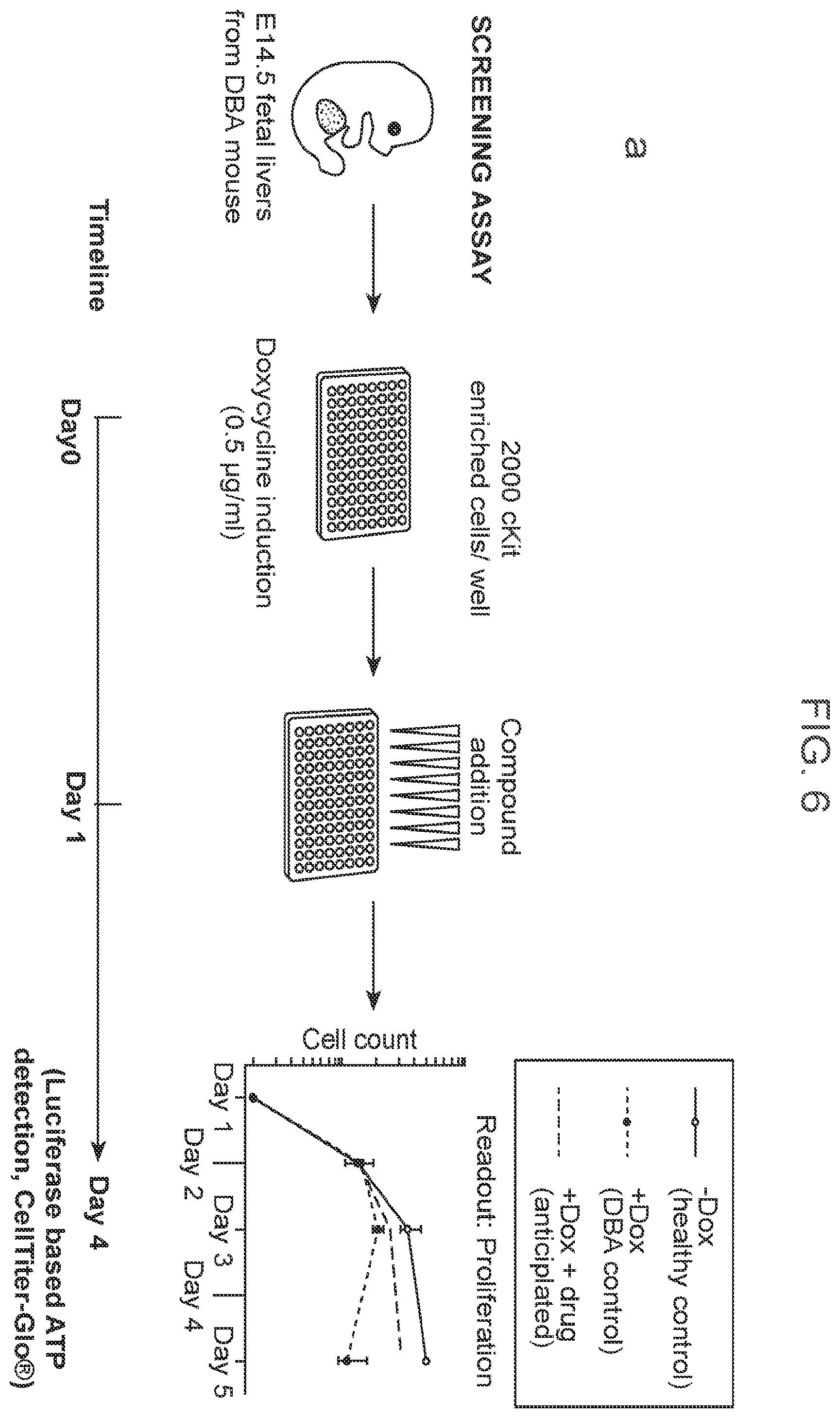 Patent US12403132 Figure 18 – Methods of treating bone marrow failure syndromes and compositions for use in the same