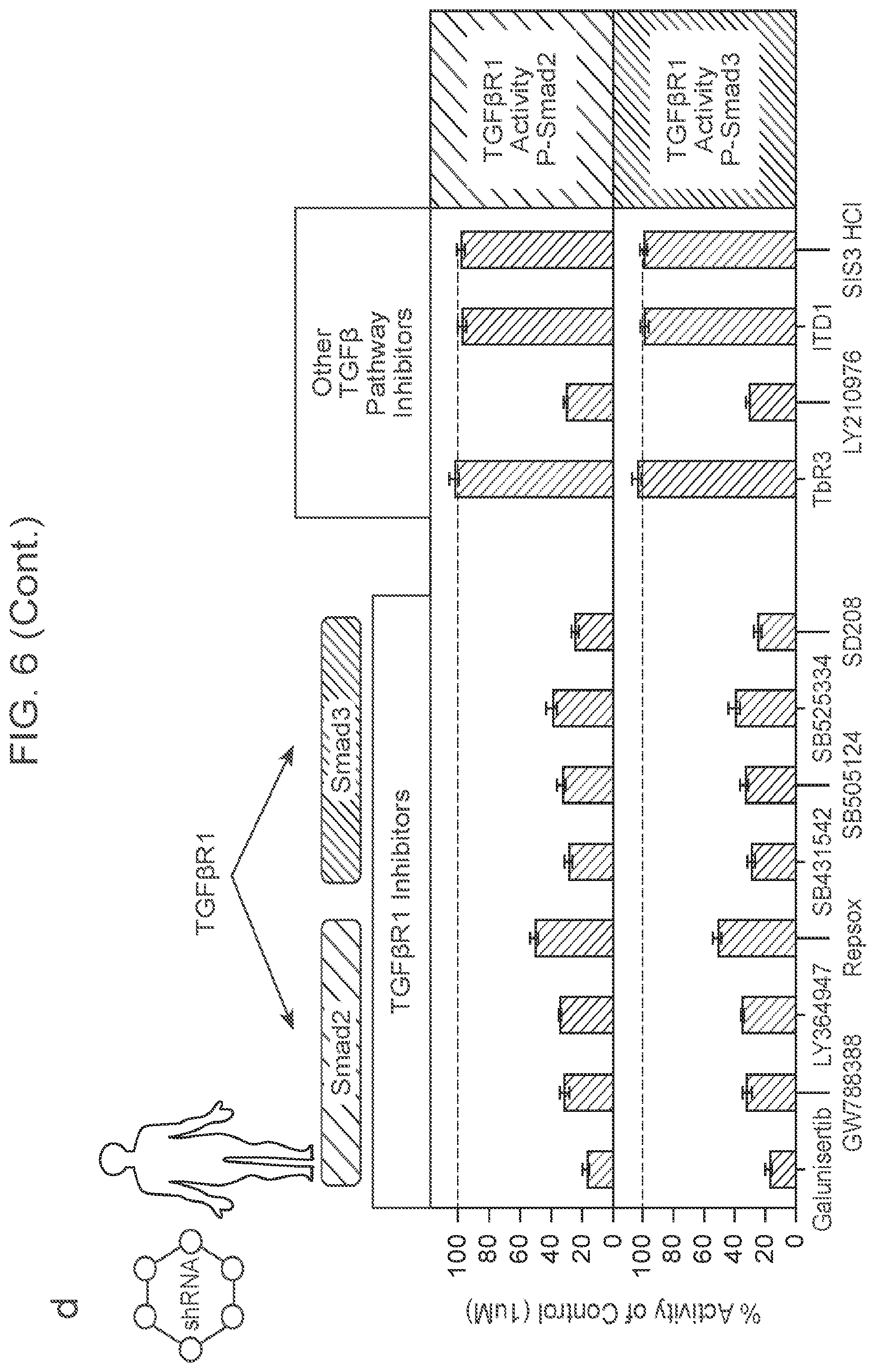 Patent US12403132 Figure 20 – Methods of treating bone marrow failure syndromes and compositions for use in the same
