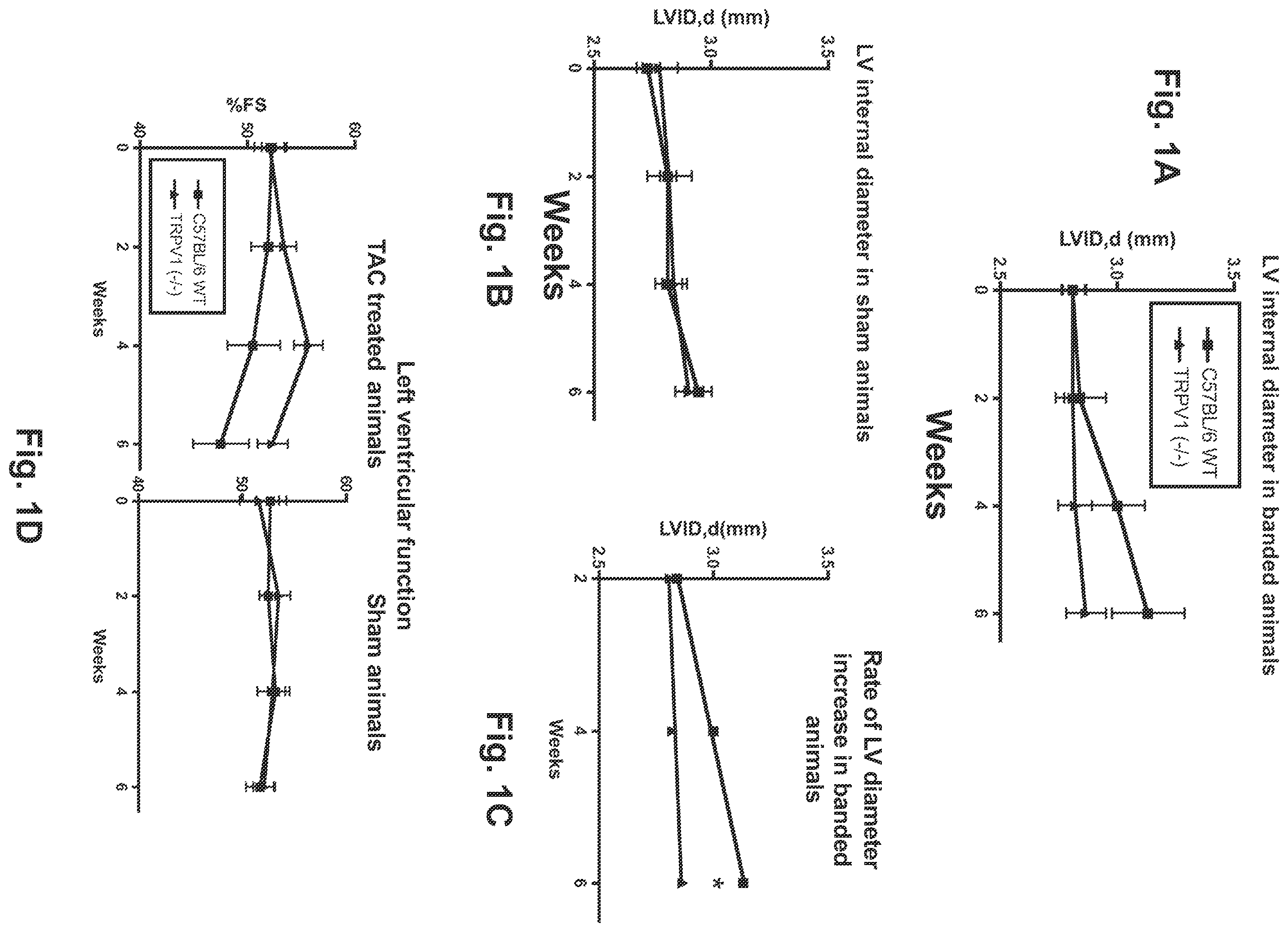 Patent US12403139 Figure 1 – Methods and compositions for prevention and treatment of cardiac hypertrophy