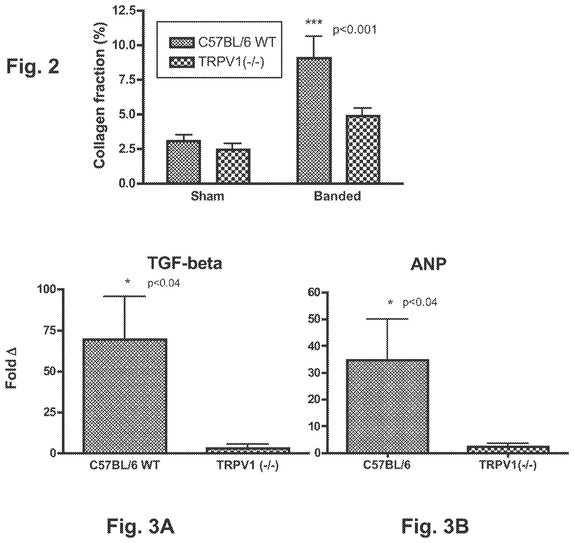 Patent US12403139 Figure 2 – Methods and compositions for prevention and treatment of cardiac hypertrophy