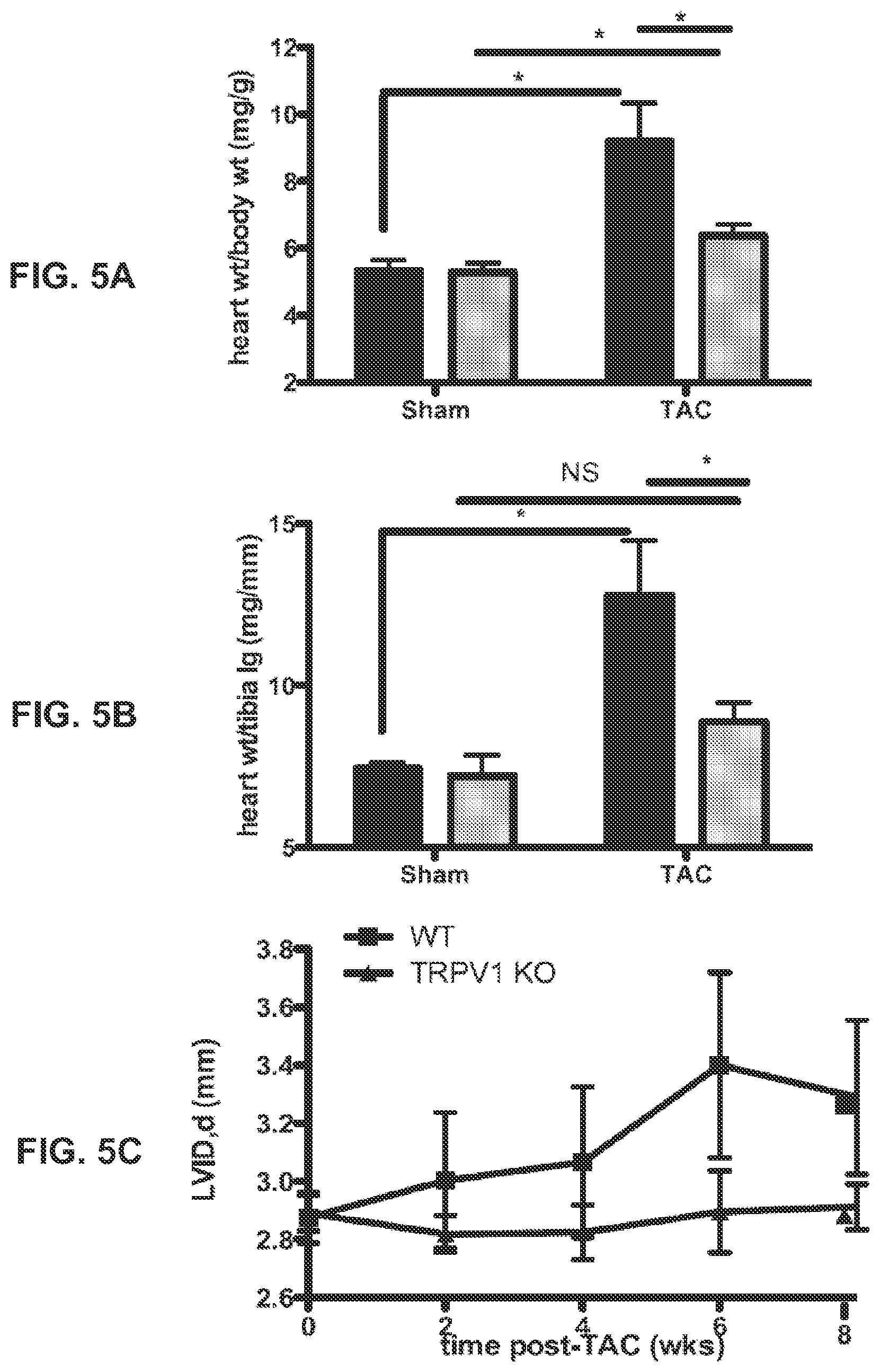 Patent US12403139 Figure 4 – Methods and compositions for prevention and treatment of cardiac hypertrophy