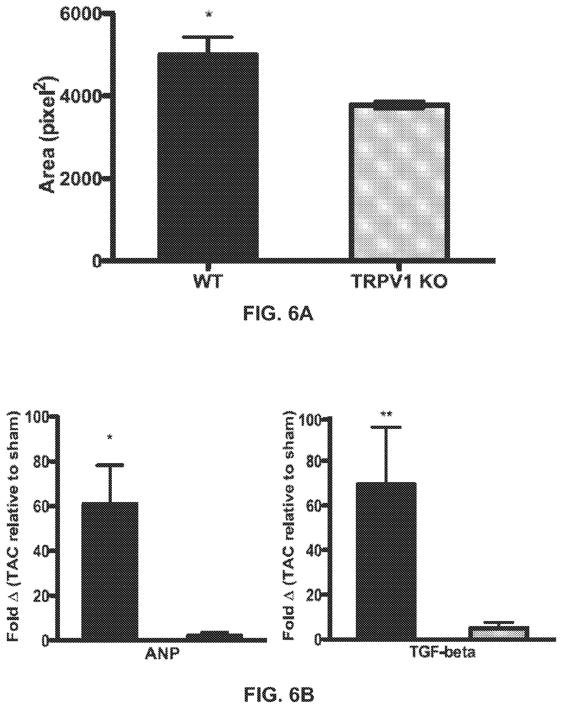 Patent US12403139 Figure 6 – Methods and compositions for prevention and treatment of cardiac hypertrophy
