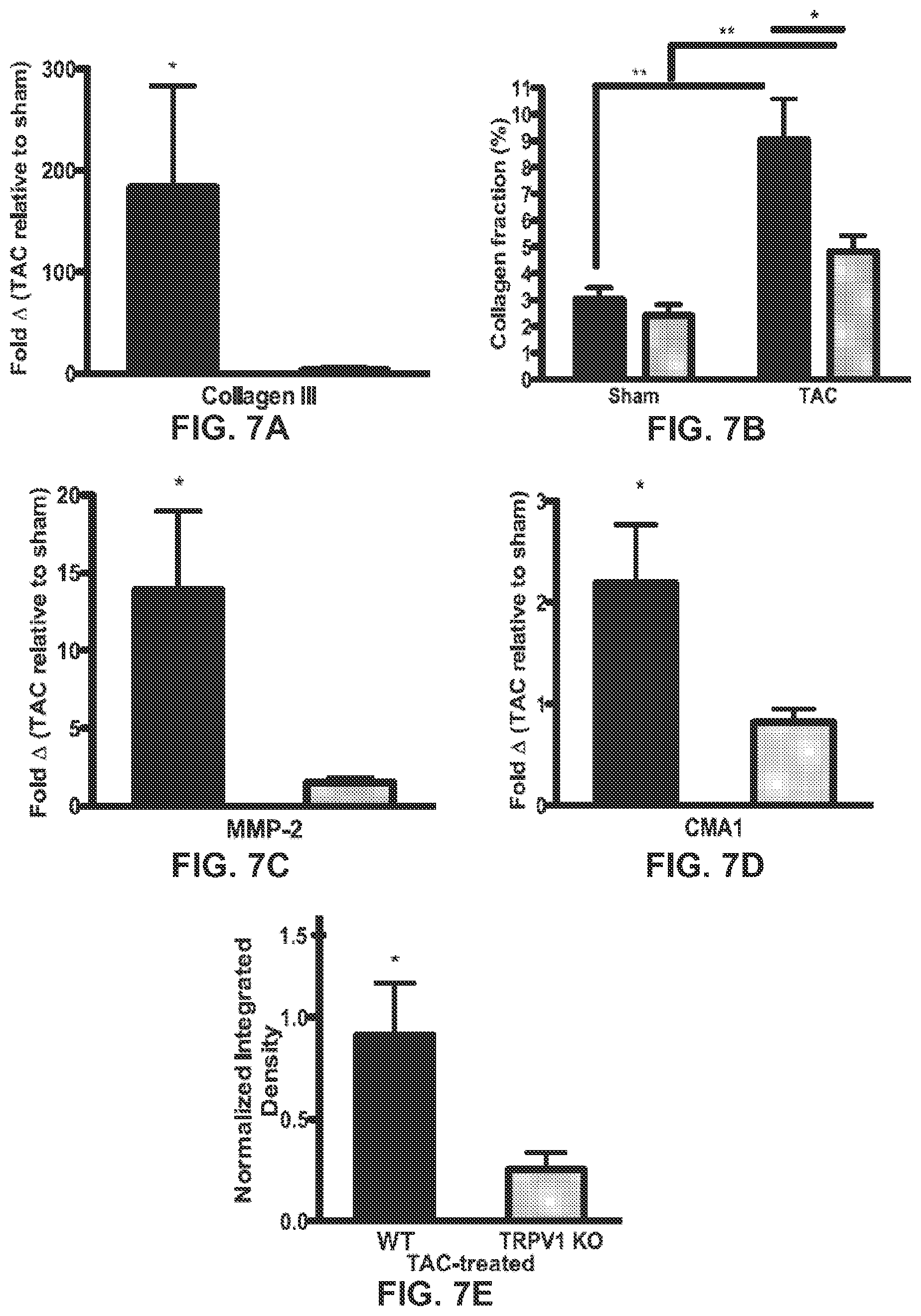Patent US12403139 Figure 8 – Methods and compositions for prevention and treatment of cardiac hypertrophy