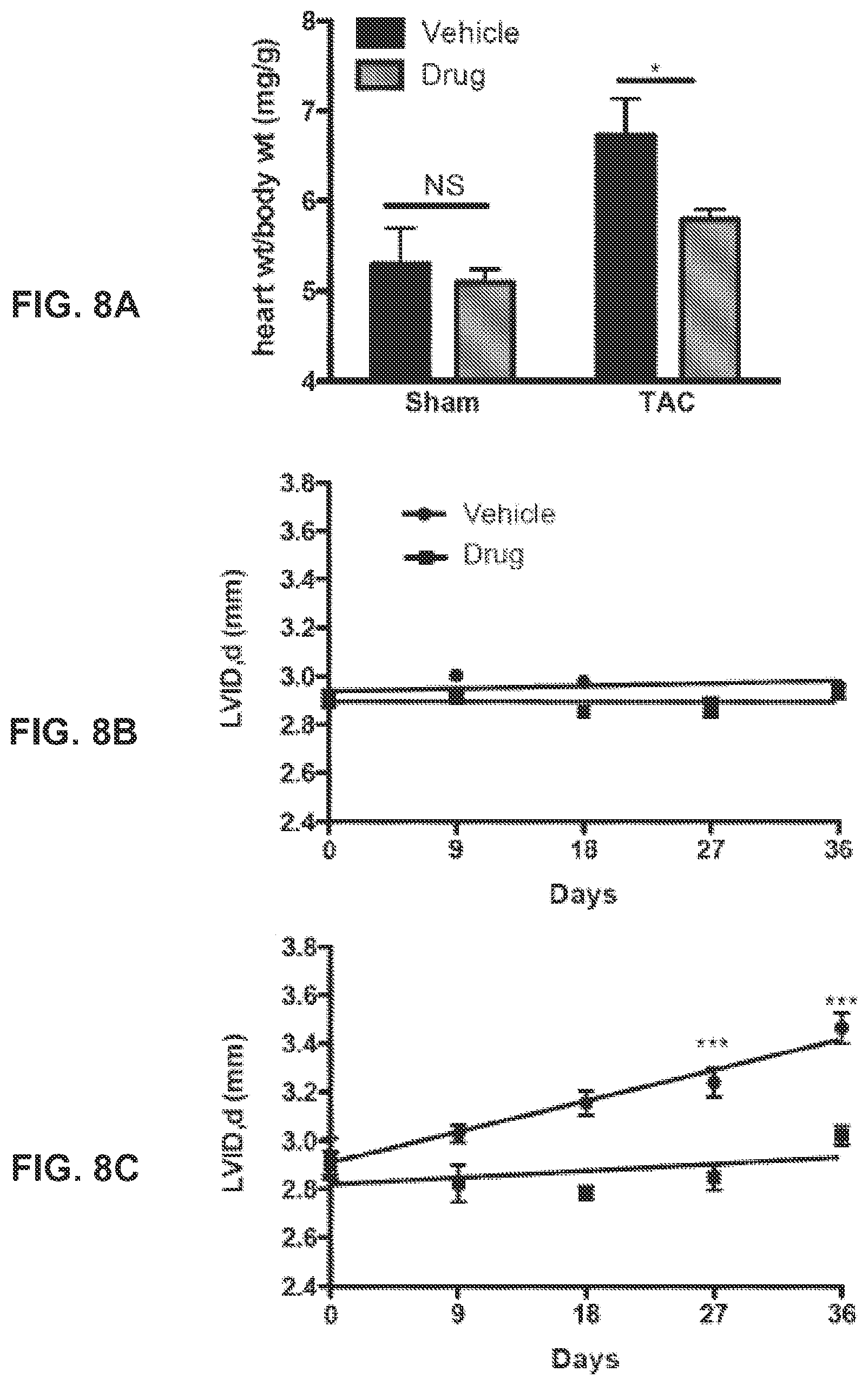 Patent US12403139 Figure 9 – Methods and compositions for prevention and treatment of cardiac hypertrophy