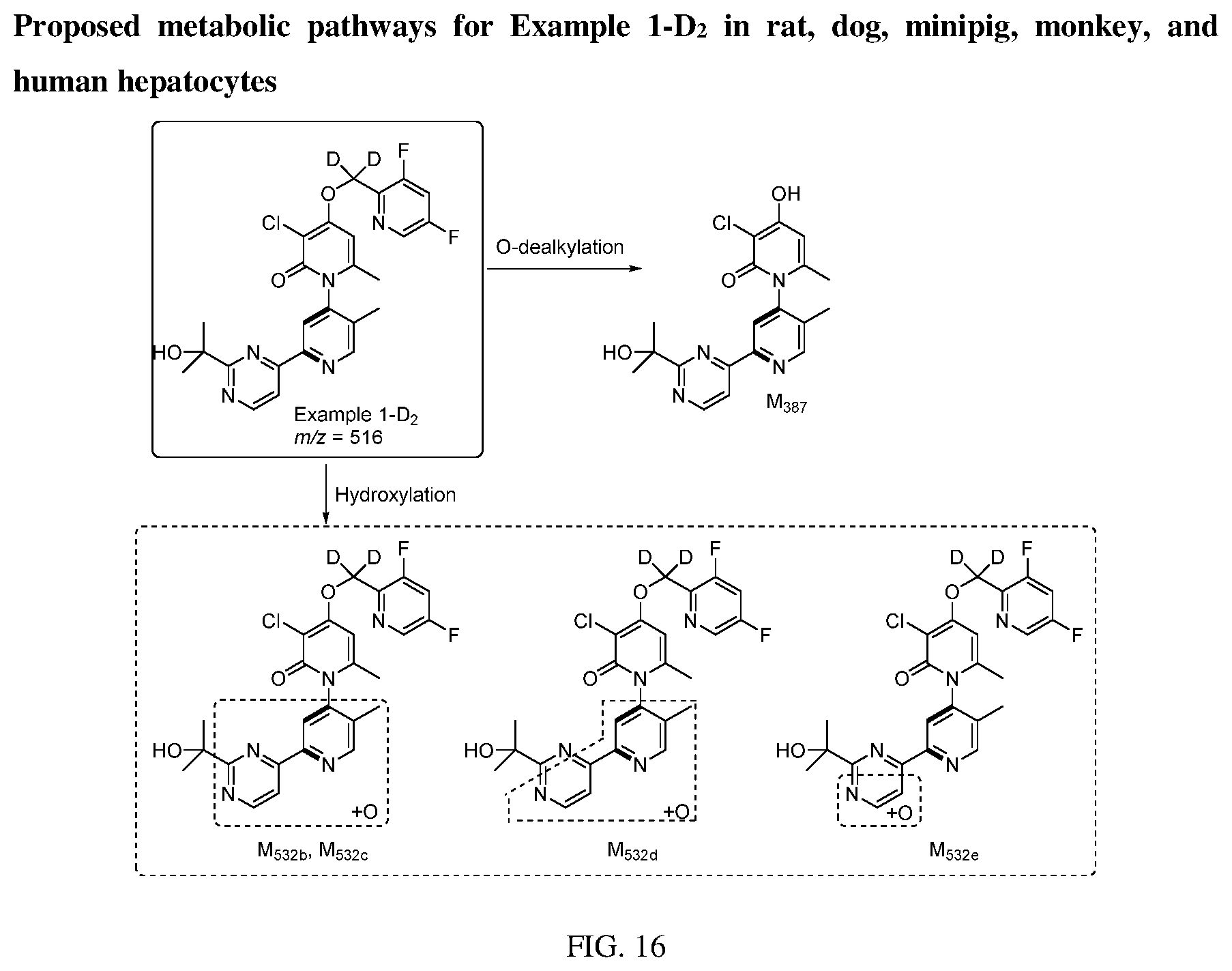 Patent US12403141 Figure 9 – Deuterated MK2 pathway inhibitors and methods of using the same