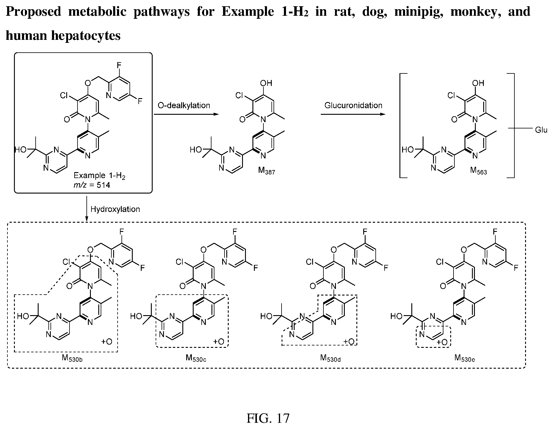 Patent US12403141 Figure 10 – Deuterated MK2 pathway inhibitors and methods of using the same